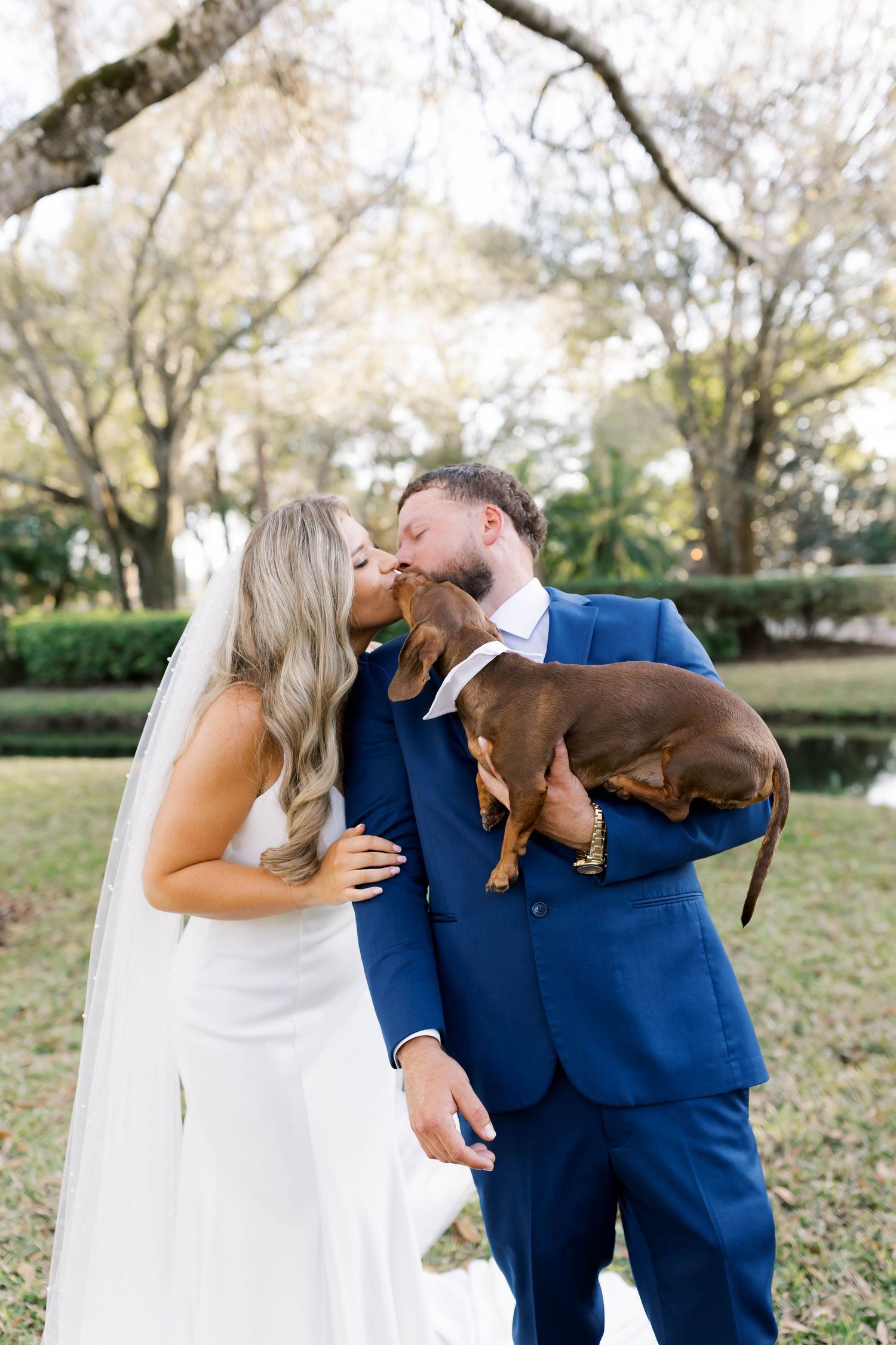 Couple shares romantic moment with brown dachshund during outdoor wedding photos.