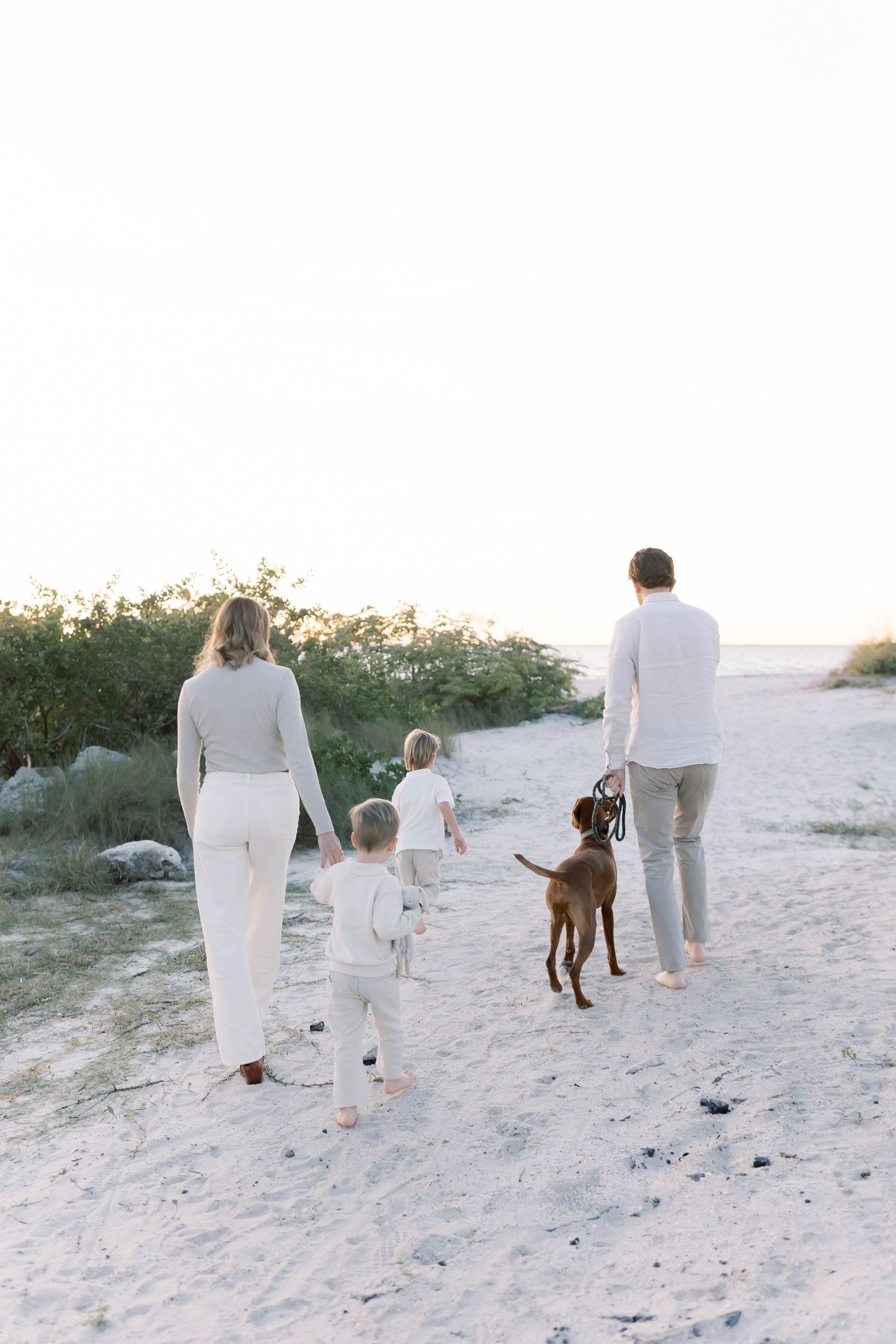 Family and their brown dog walk together on sandy beach path at sunset.