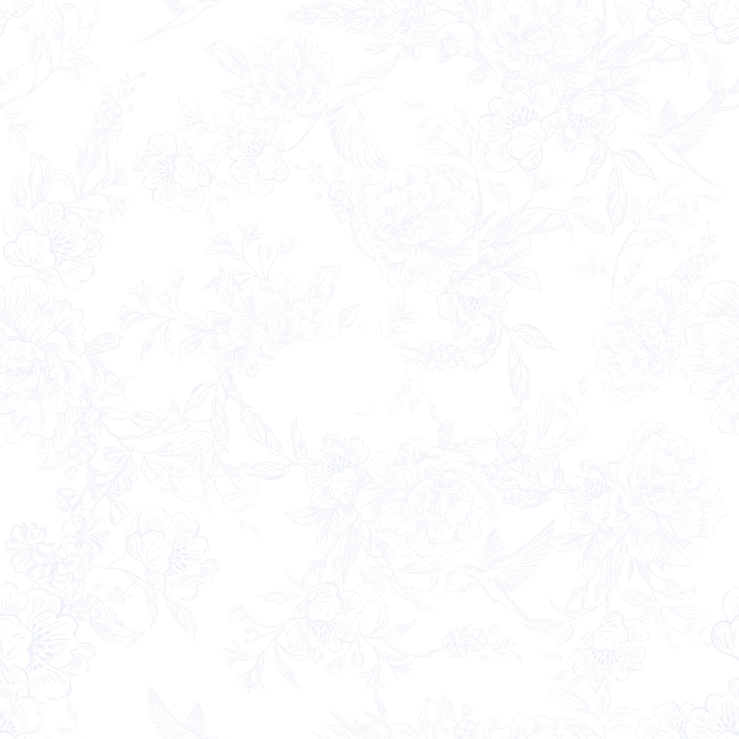 Pure white background with fine, delicate paper texture.