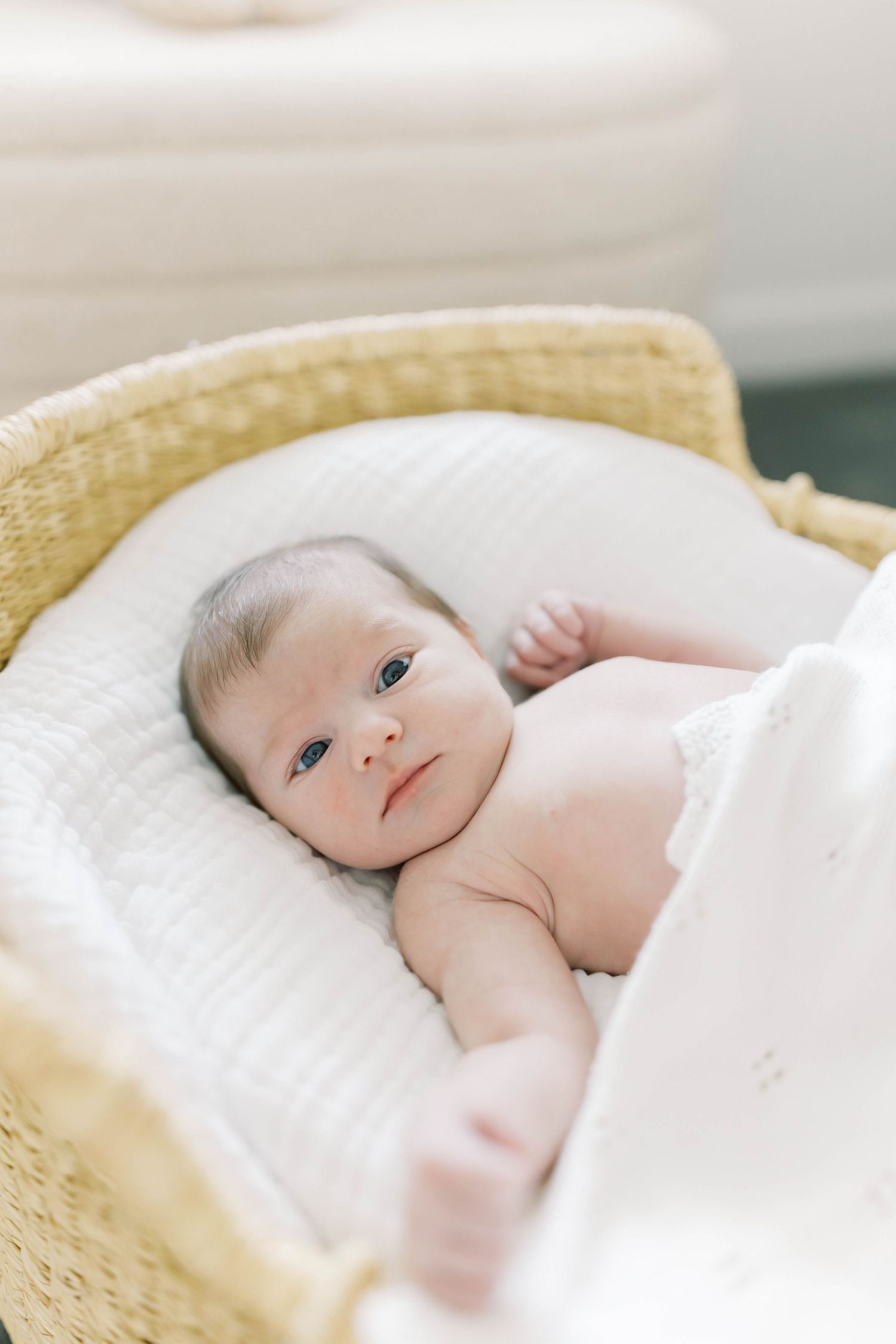 Sweet newborn baby resting peacefully in soft white bedding and wicker bassinet.