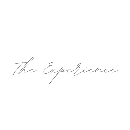 Elegant cursive text reading 'The Experience' in light gray handwriting against white background.