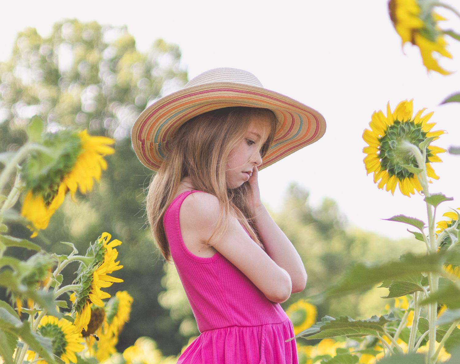 A young girl in a pink dress and striped sun hat stands among bright yellow sunflowers in a summer garden.