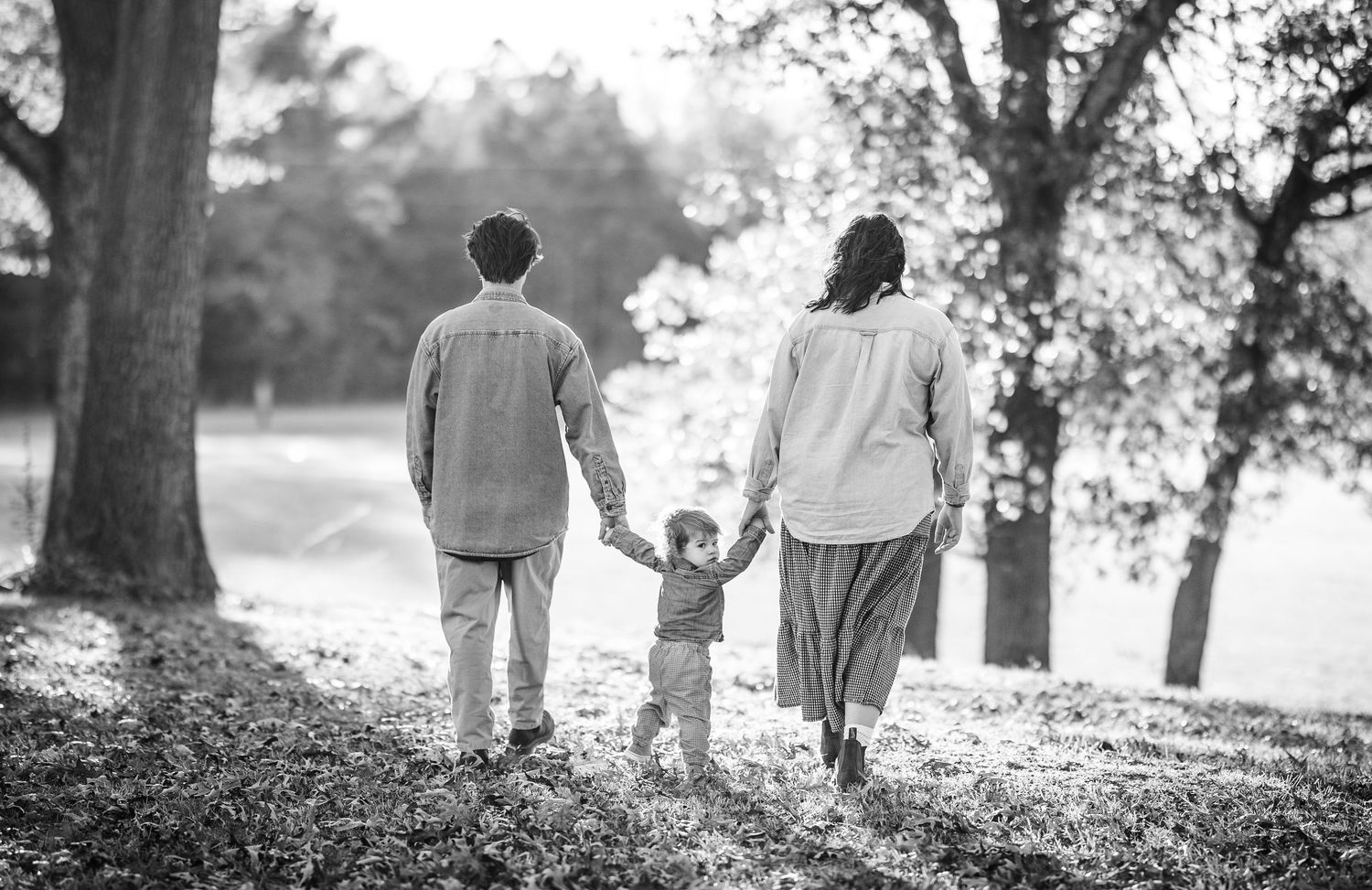 A family walking hand in hand along a tree-lined path on an autumn afternoon.