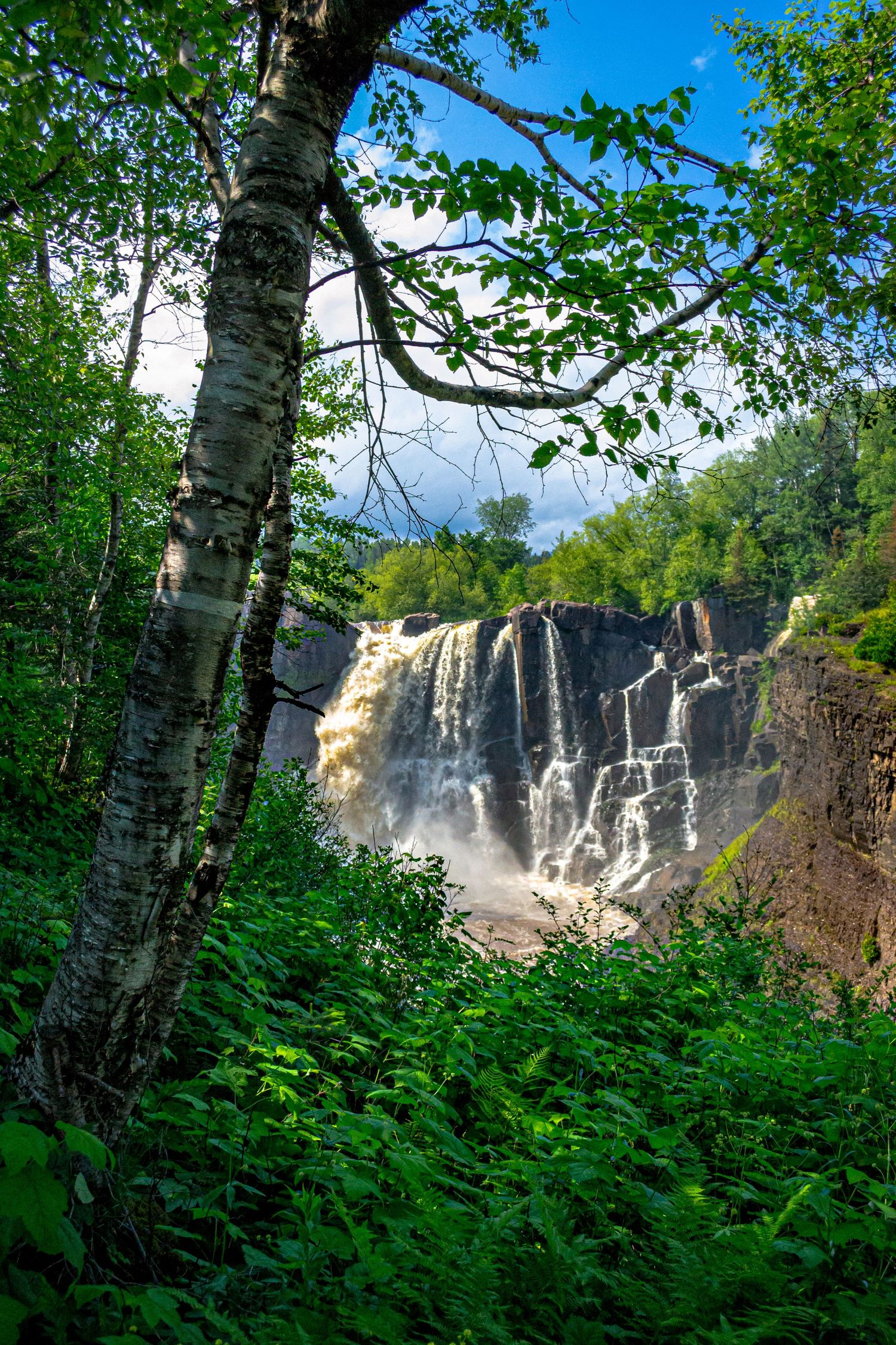 Photo of a waterfall framed by foliage.