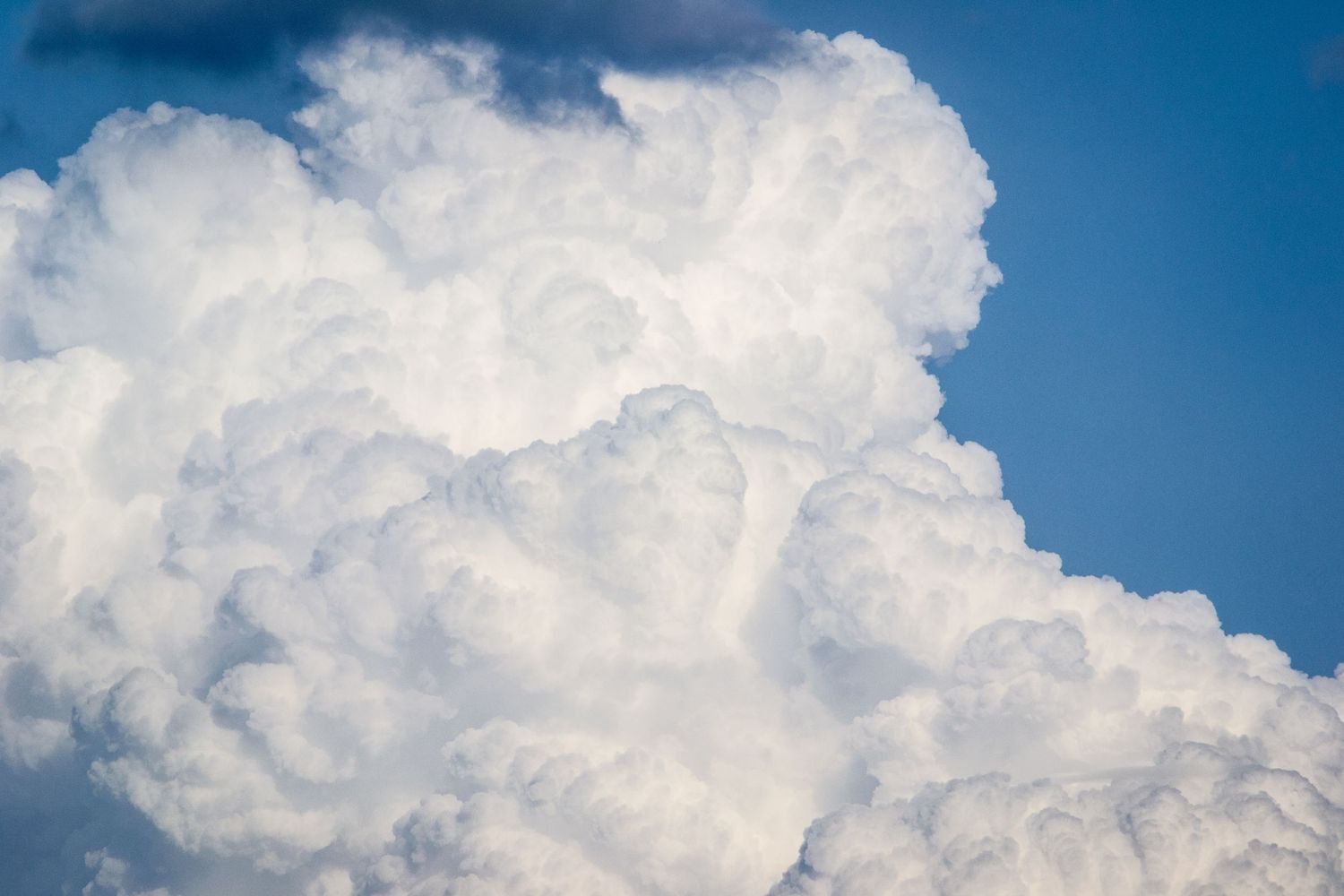 Photo of a cloud billowing up.