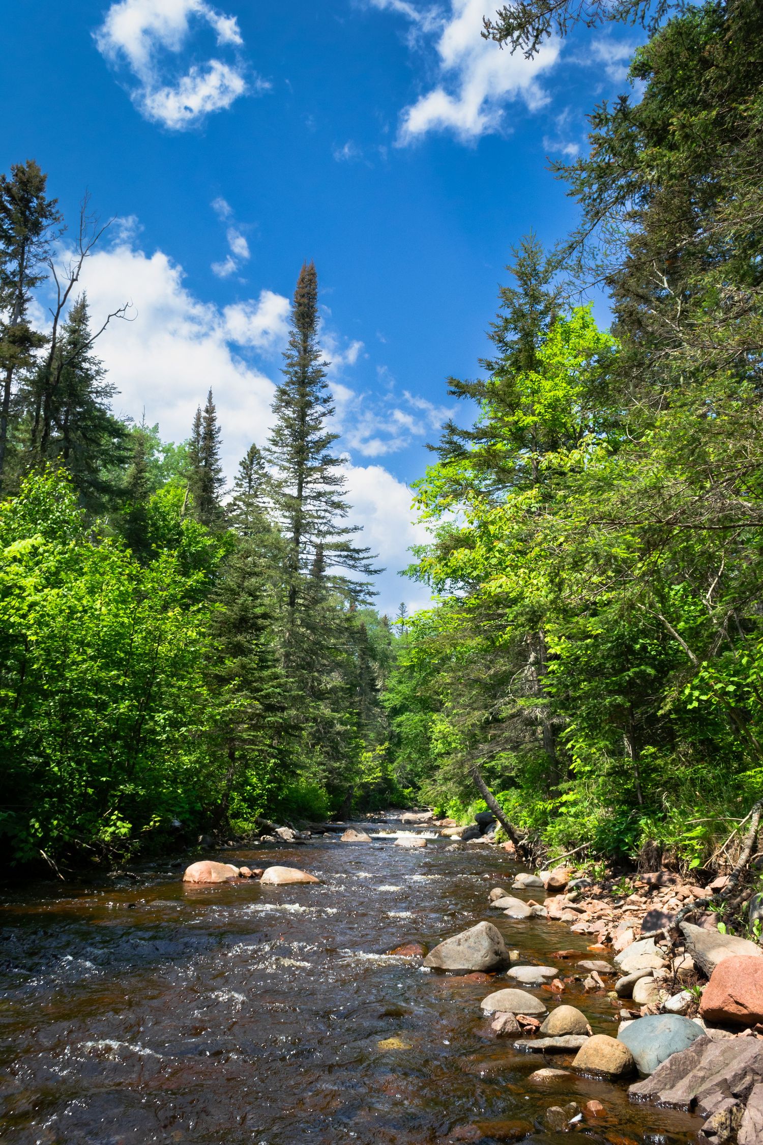 Photo of a river