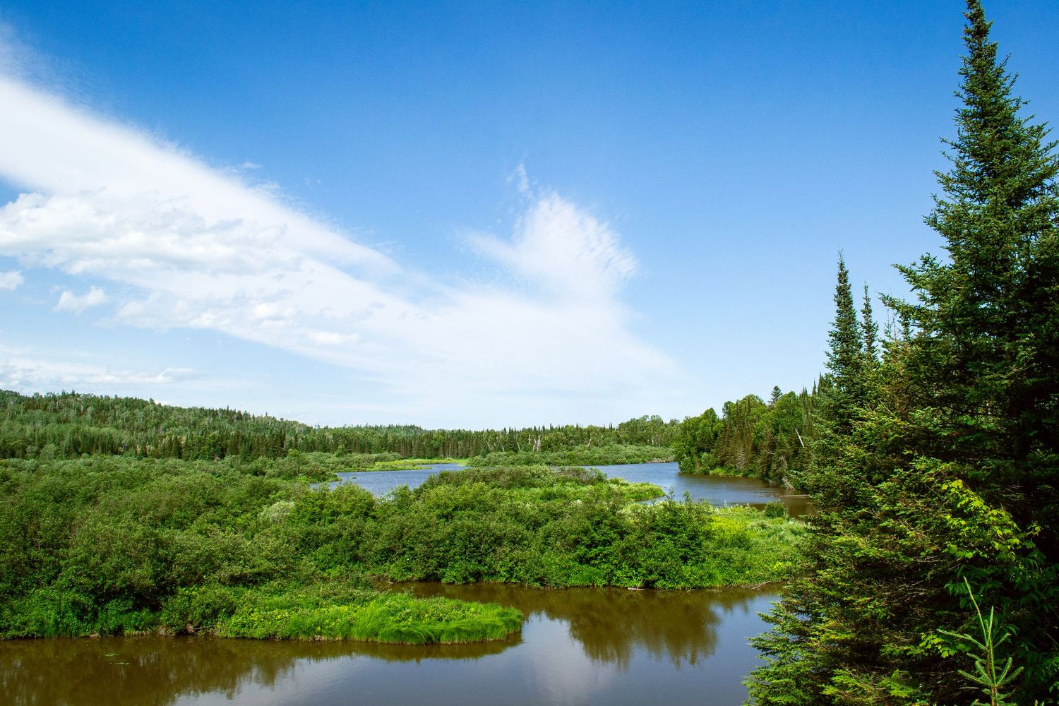 Photo of a river.