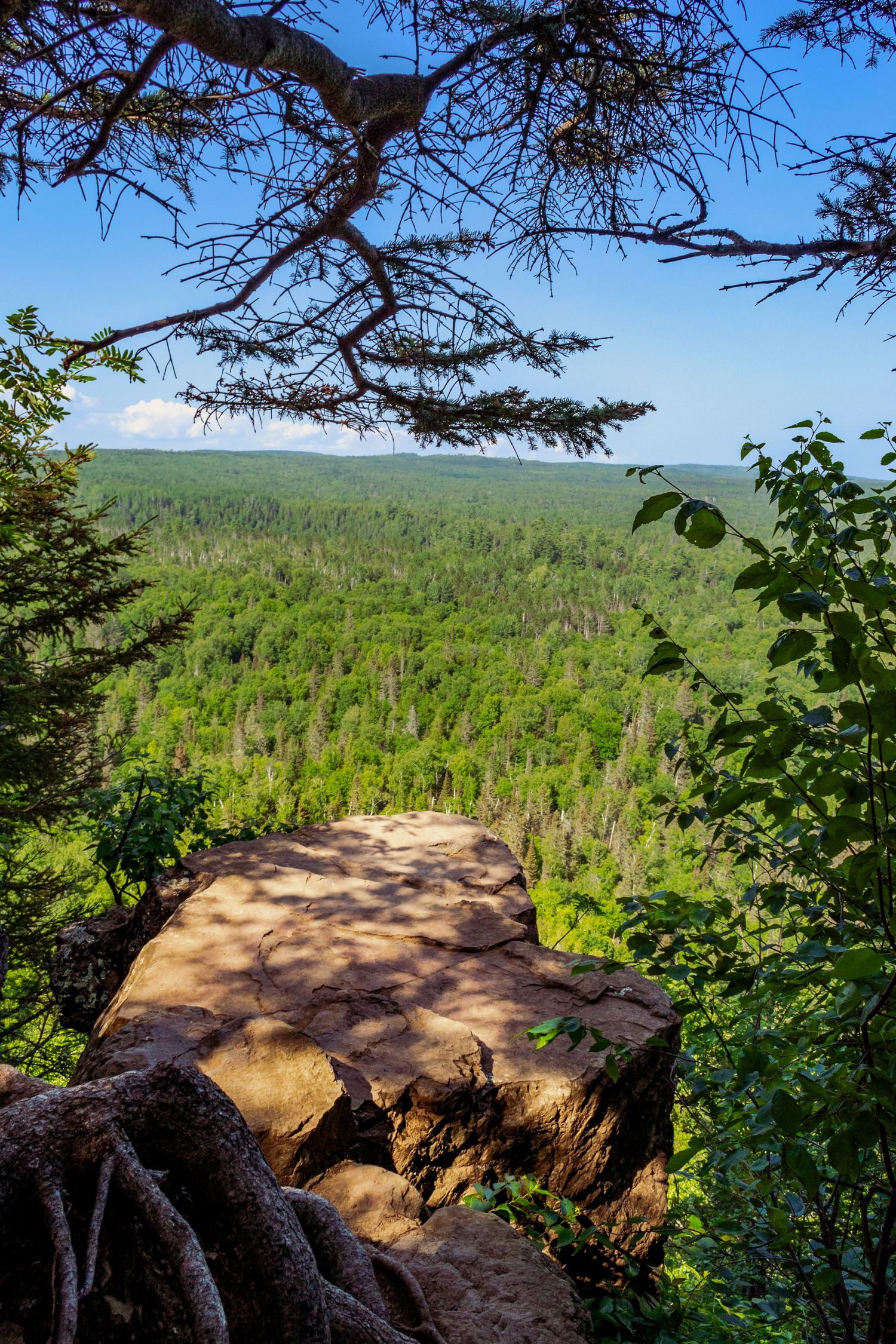 Photo of a rock overlooking a forest.
