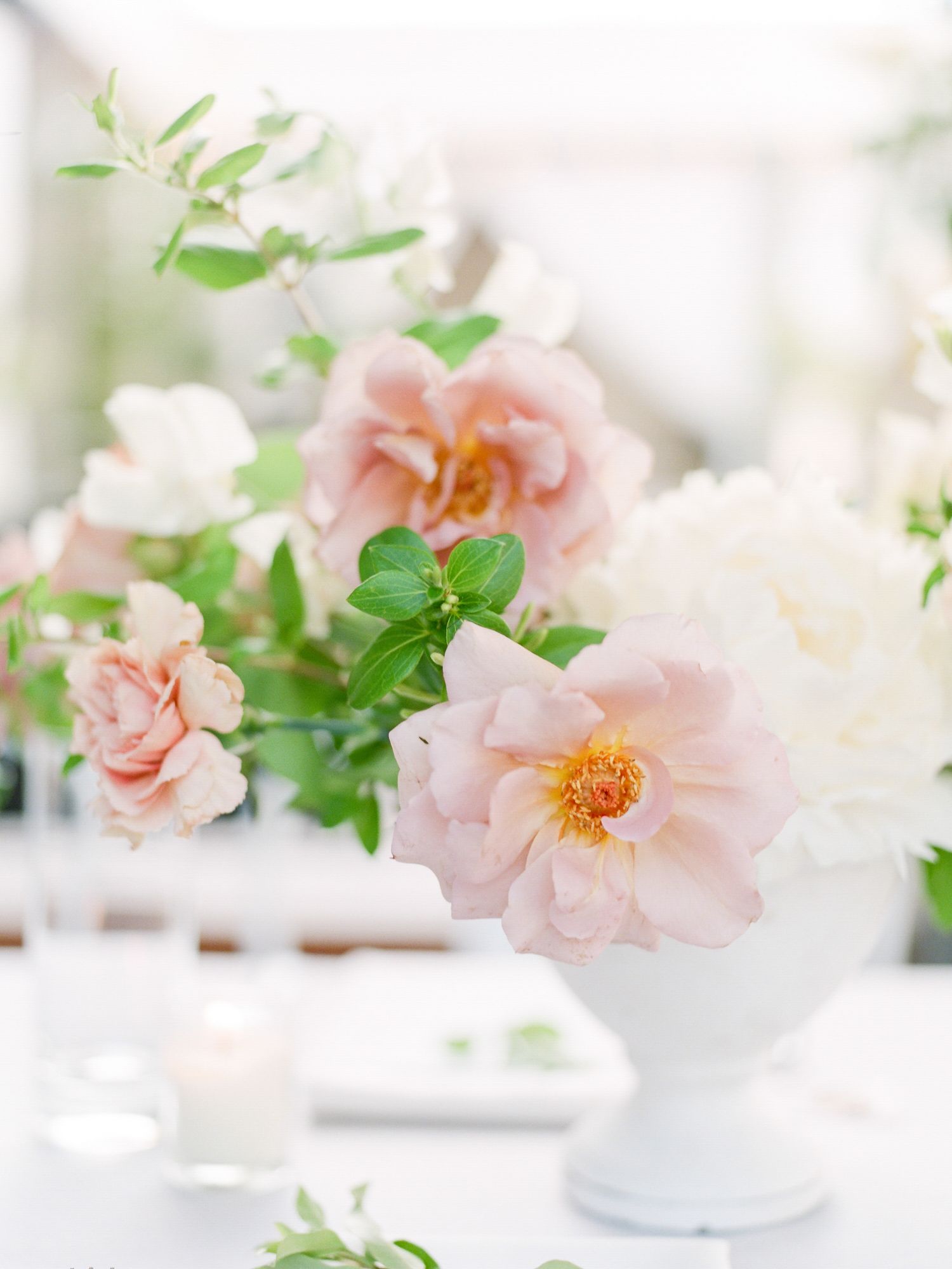Delicate pink garden roses in a white ceramic vase with soft focus background in Napa.