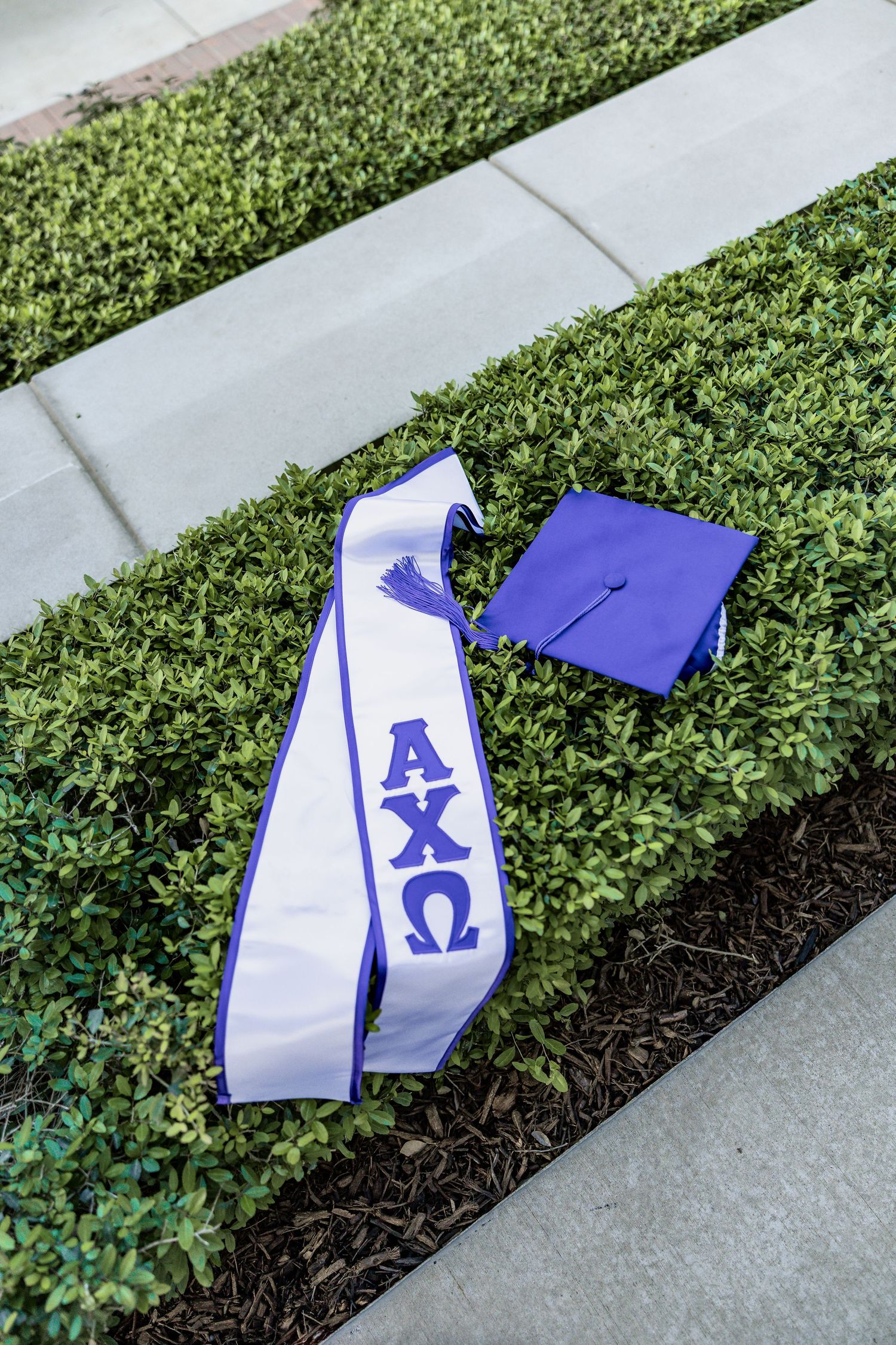 TCU GRAD PHOTOGRAPHER, TCU SPRING 2026, TCU CLASS OF 2026, TCU NURSING, TCU GRAD
sorority photography 
tcu seniors
friend graduation photos
