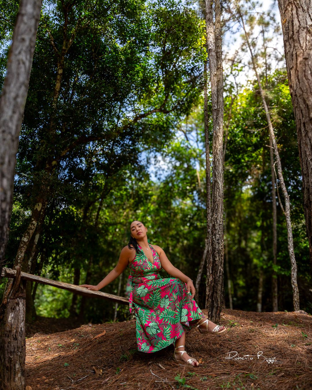Person in floral sundress sits on wooden railing among tall pine trees in a serene forest setting.