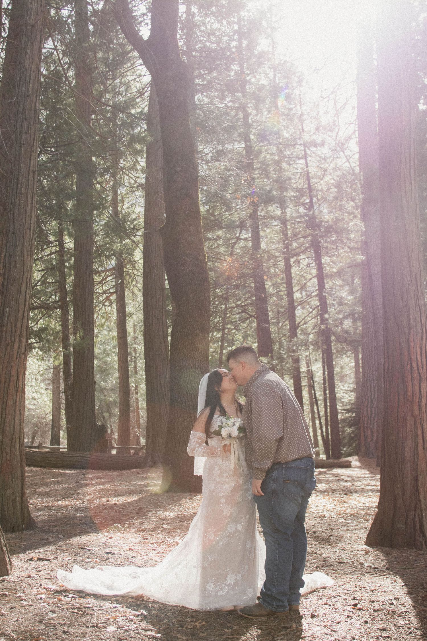 Bride and groom sharing a kiss surrounded by towering redwood trees in golden sunlight.