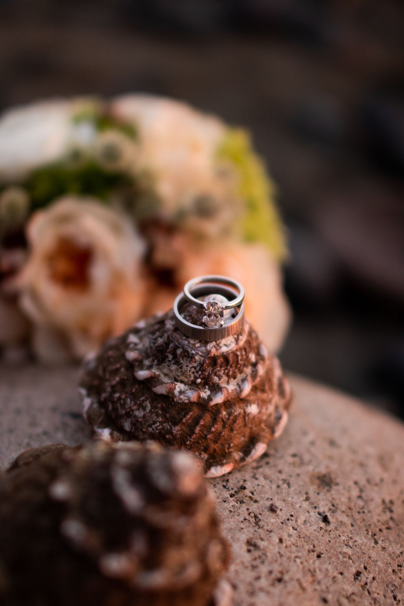Two silver wedding rings rest atop a textured seashell with soft floral bokeh in the background.