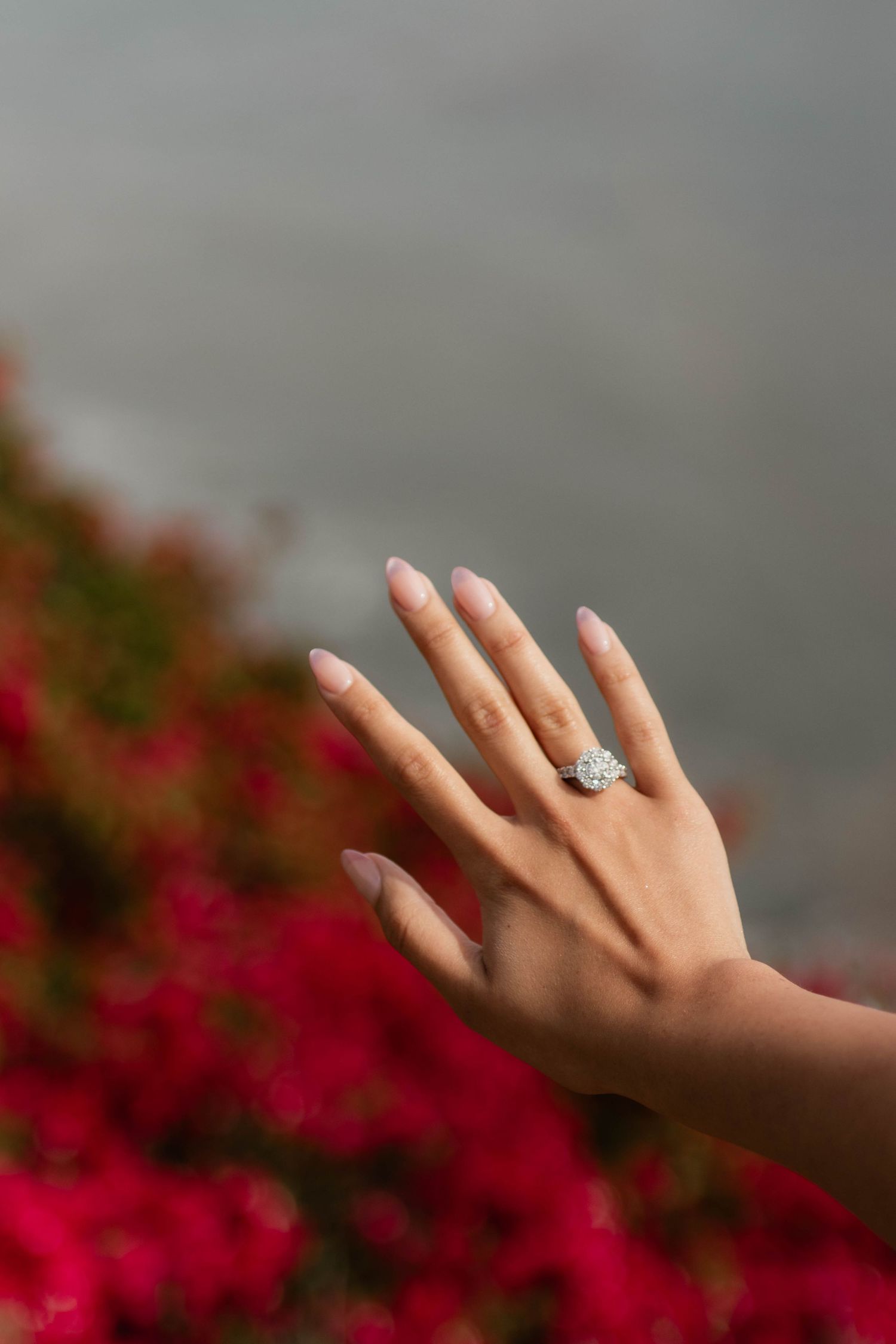 Close-up of a hand displaying a stunning halo diamond engagement ring with red flowers behind.