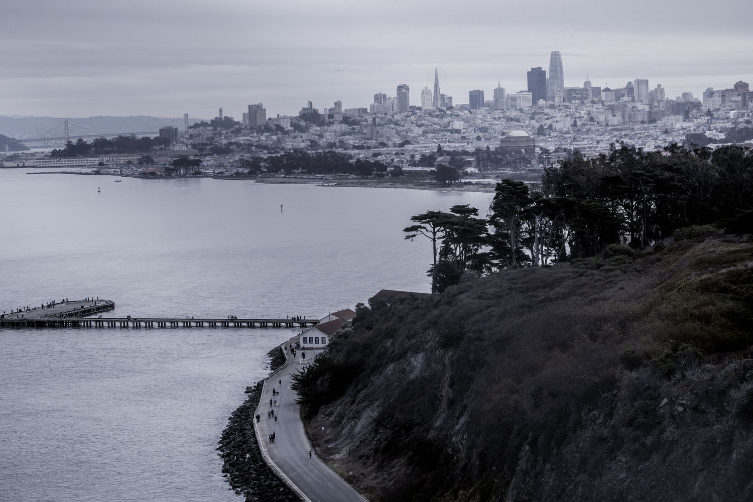 SF