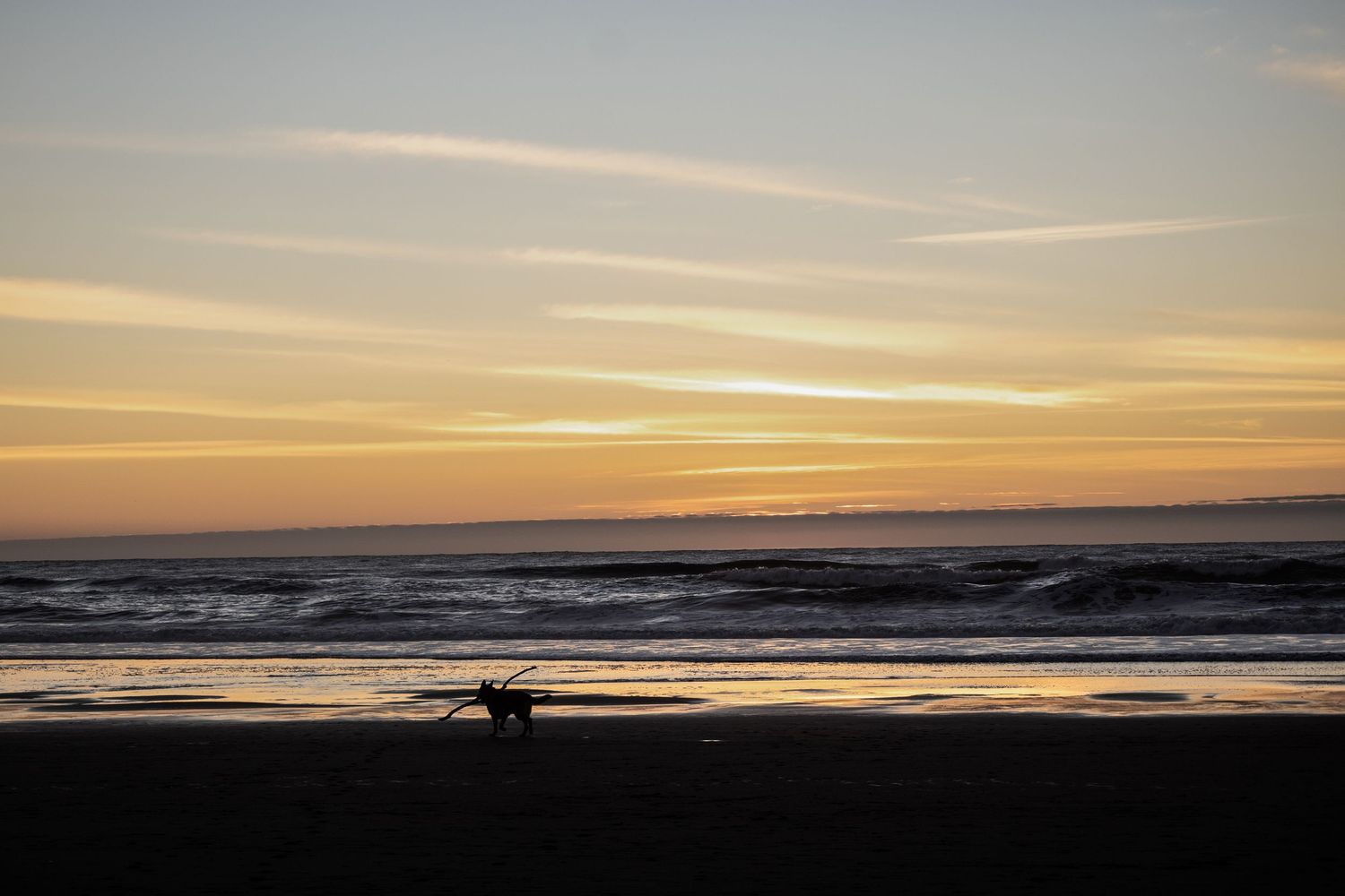 Golden Hours