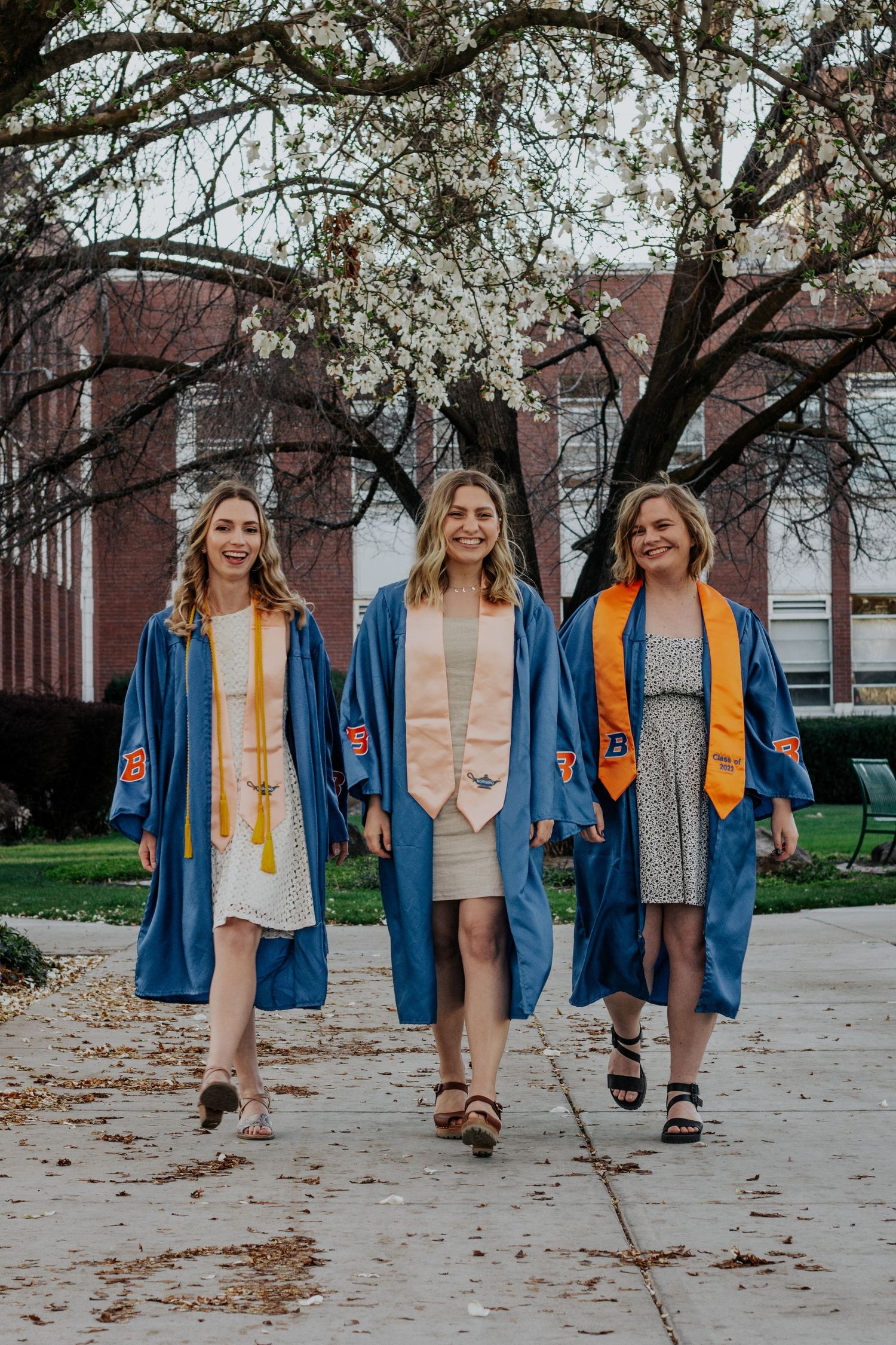 Three graduates in blue gowns and colorful stoles walk together down a campus path under a blossoming tree in front of brick buildings.
