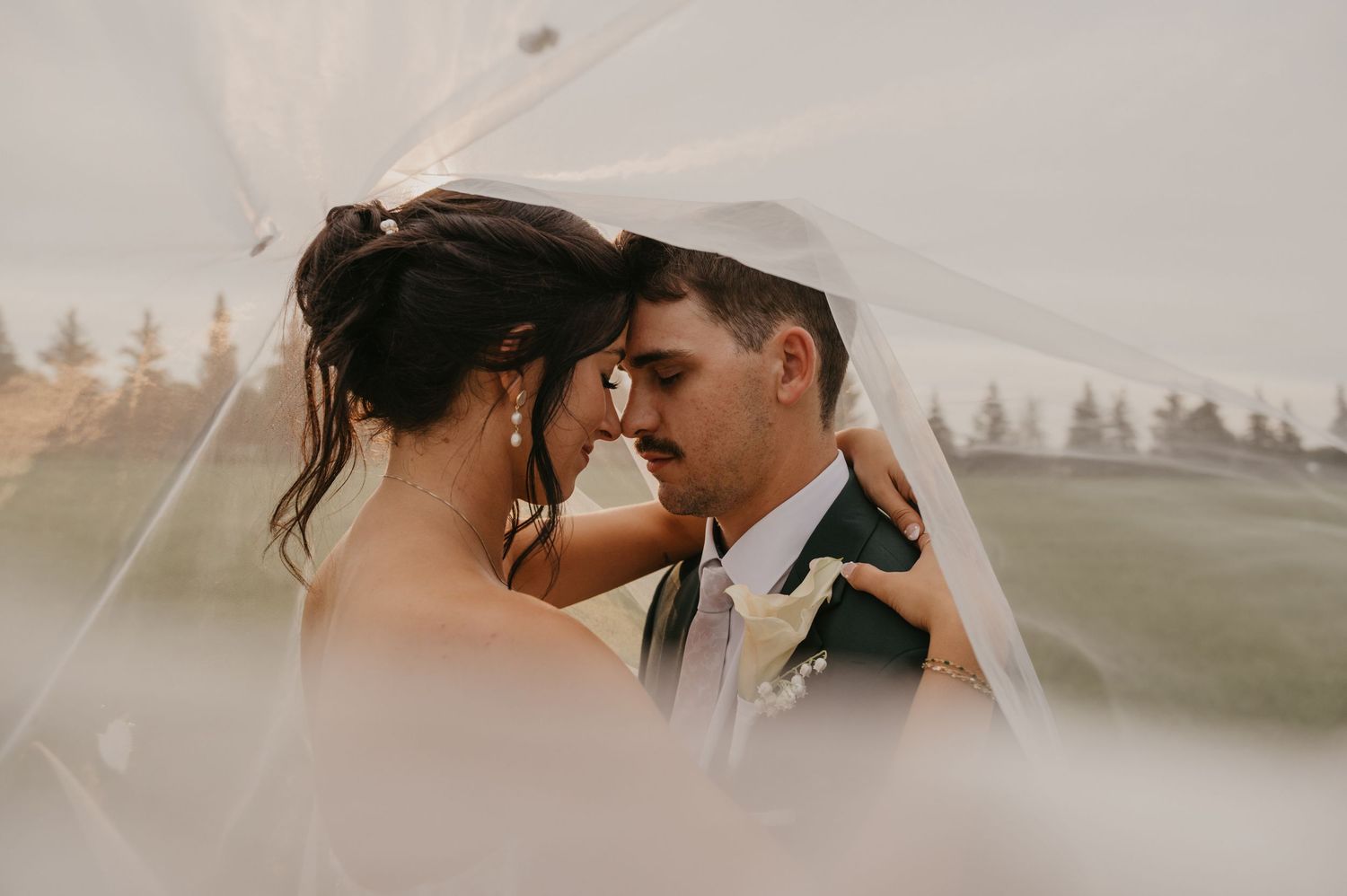 A romantic couple embraces in a misty outdoor setting during golden hour as the sun sets behind evergreen trees.