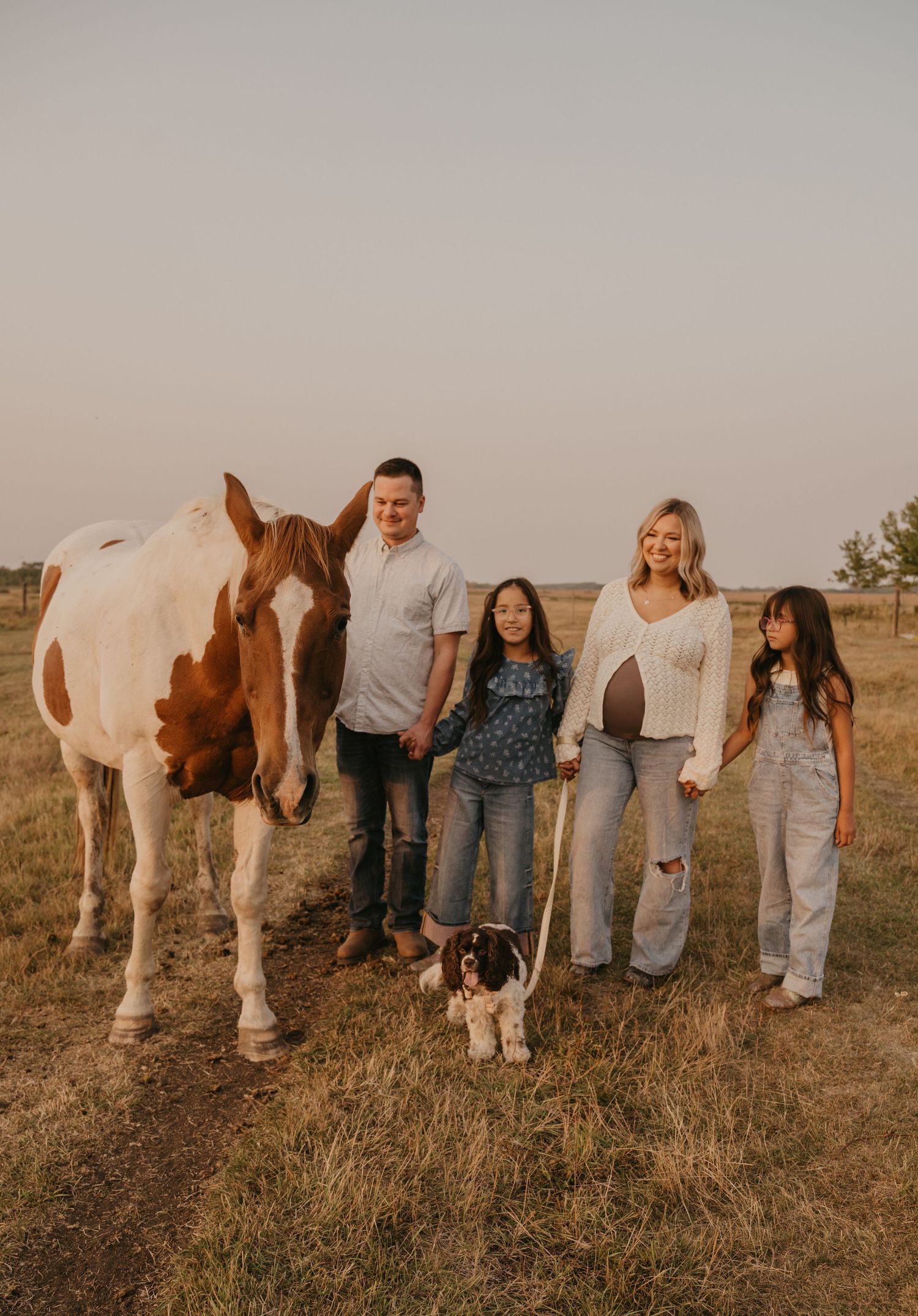 A group stands alongside a paint horse in a rustic field during golden hour, creating an artistic composition.