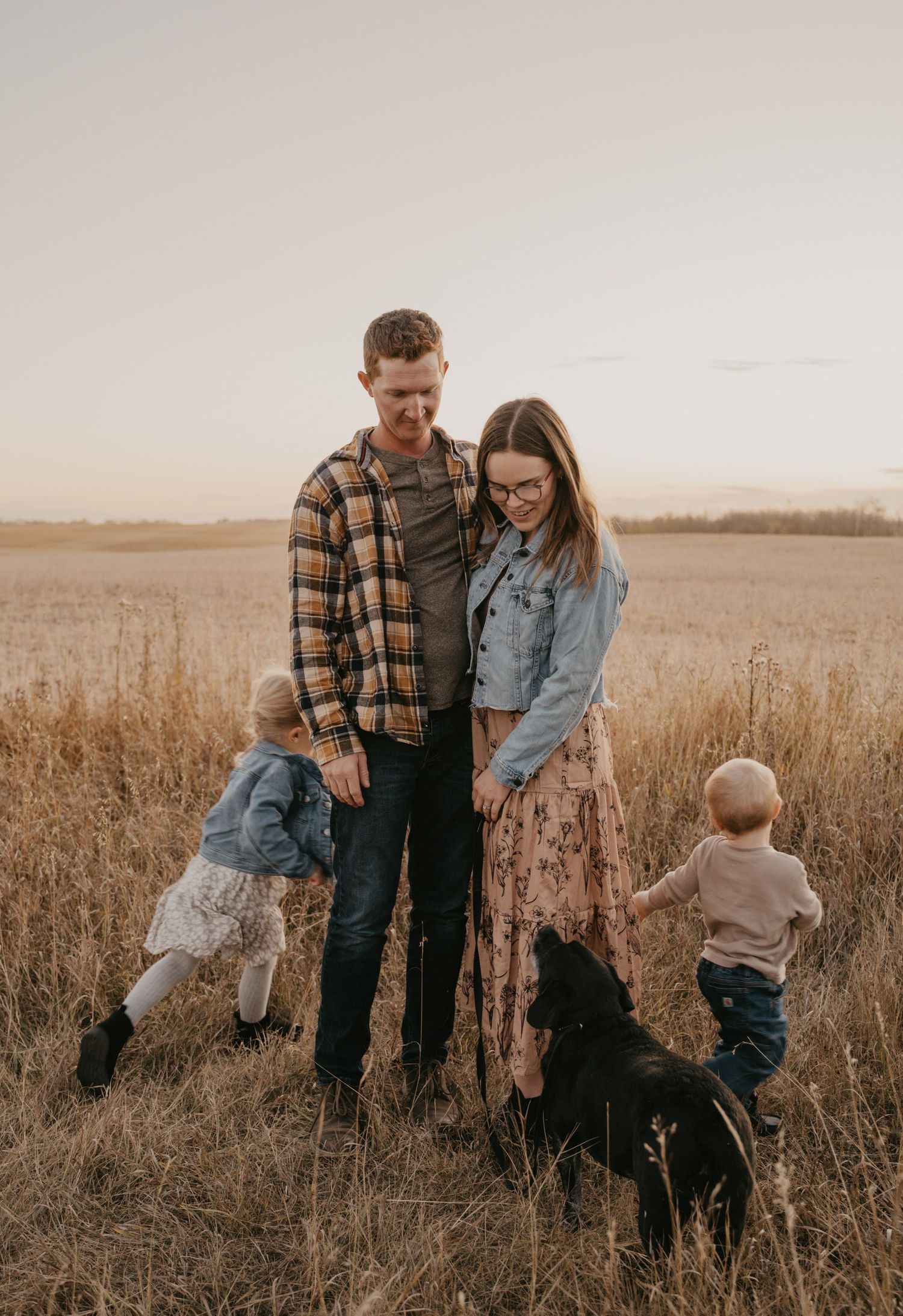 A couple and child walk through a golden autumn field at sunset with their black dog.