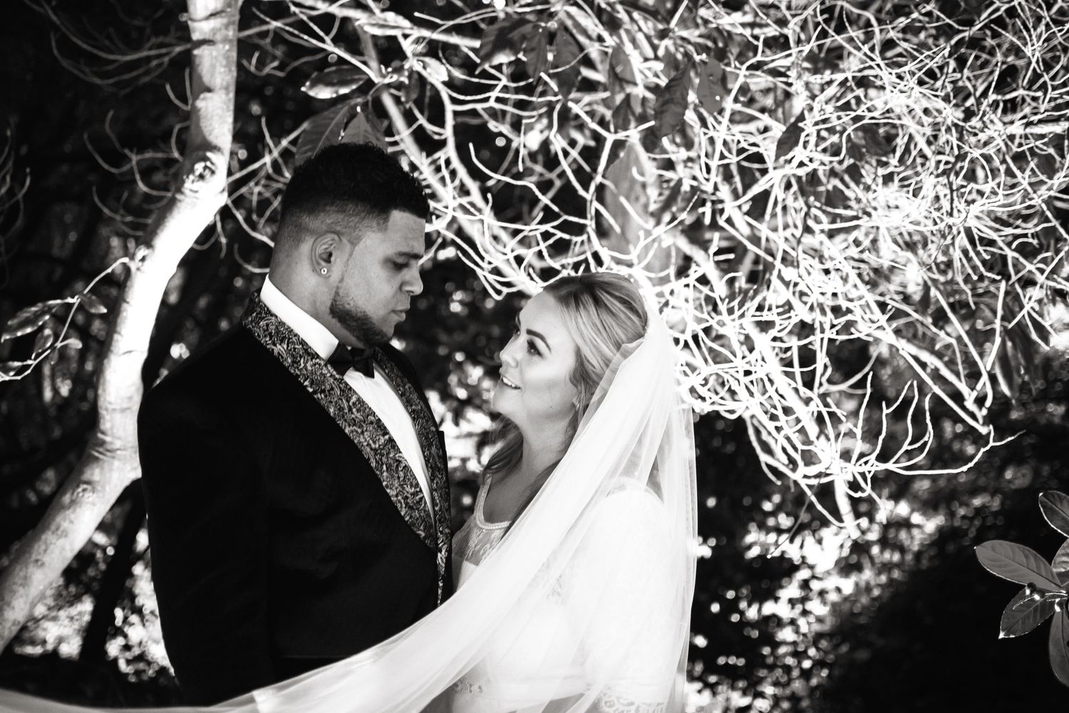 Black and white wedding photo of bride and groom sharing a romantic moment under lit bare tree branches at night.