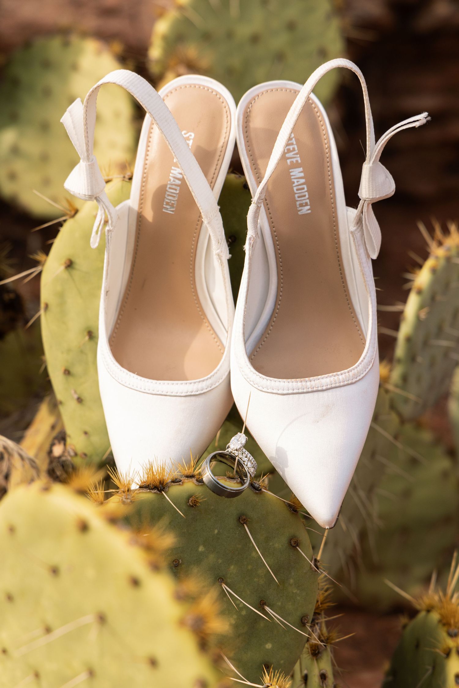 White Steve Madden slingback heels with diamond rings resting on green prickly pear cactus pads.