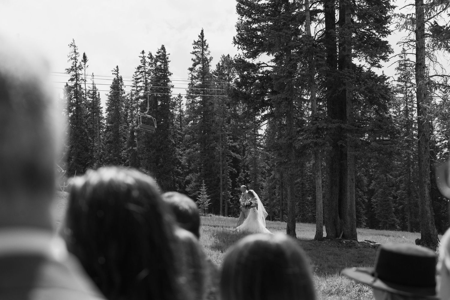 Black and white photo of a wedding ceremony in a pine forest, with guests watching the couple exchange vows outdoors.