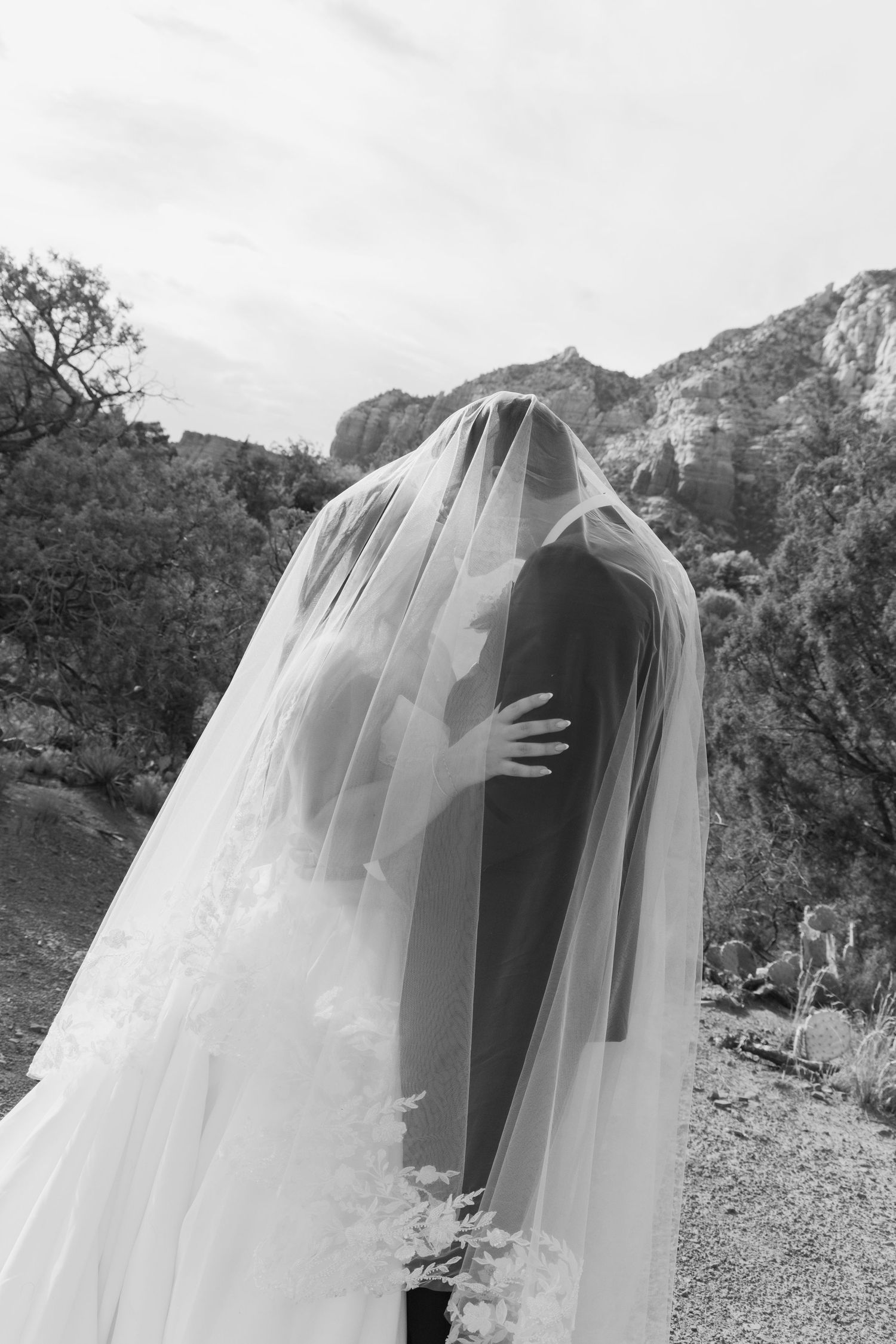 Black and white photo of bride and groom kissing under wedding veil with rocky mountain landscape backdrop.