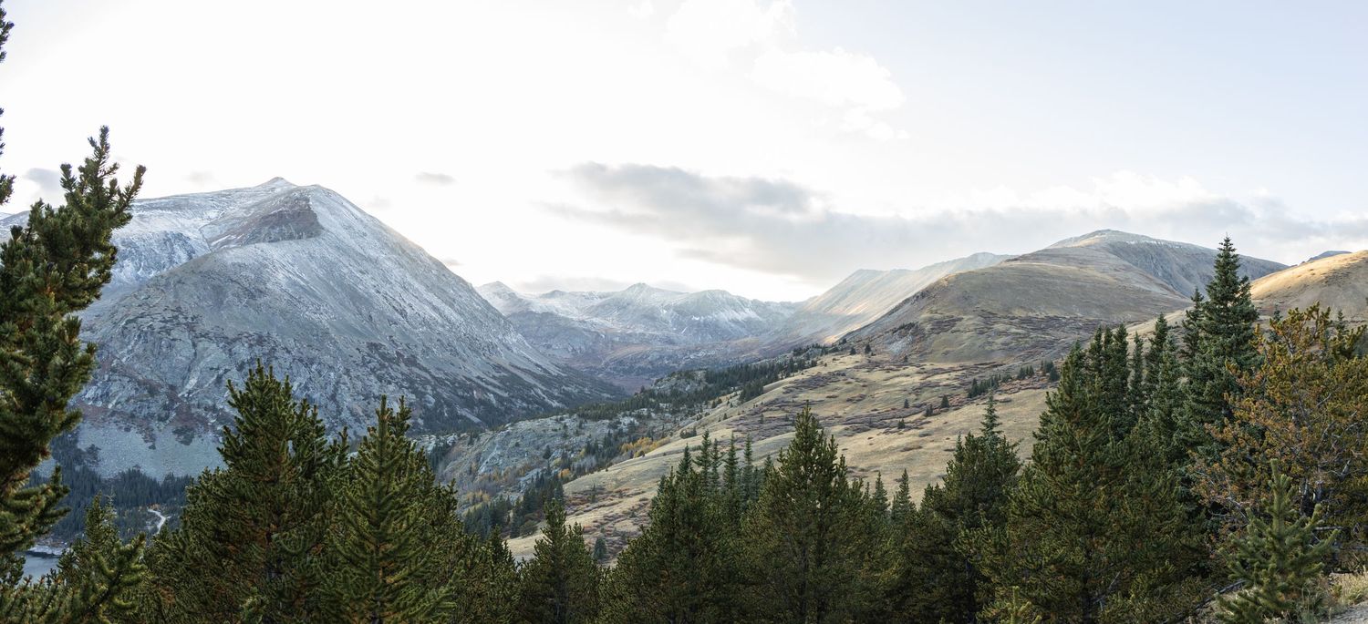 Snow-capped mountain peaks and rolling hills viewed through evergreen trees in Yosemite National Park.