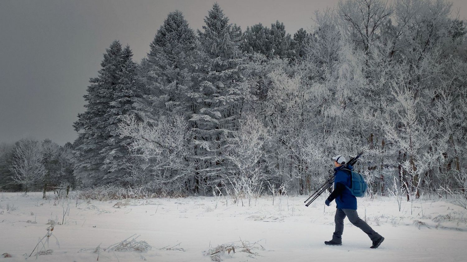 A lone hiker carrying ski poles treks through a snowy winter landscape with frost-covered evergreen trees in the background.
