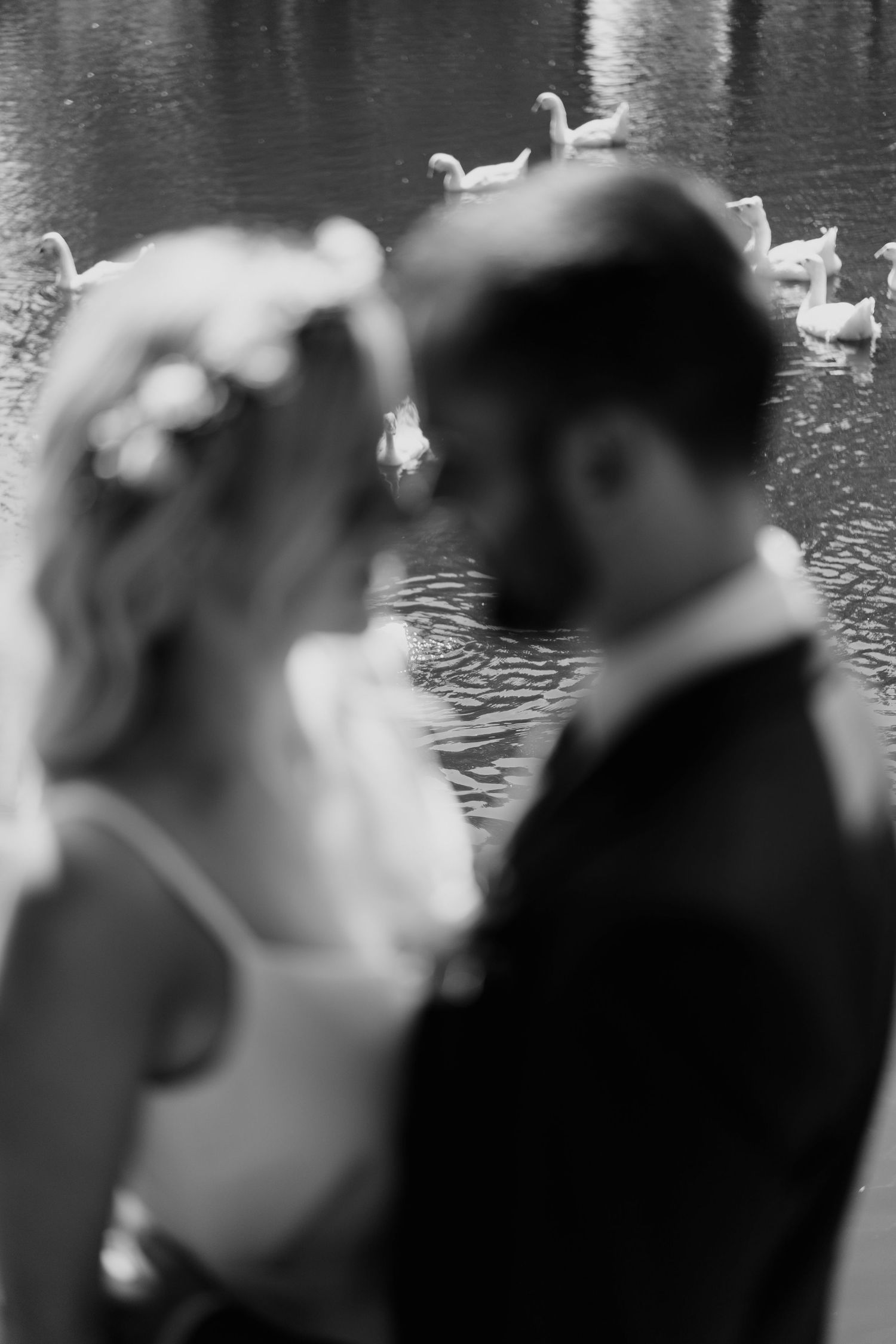 Black and white blurred wedding couple facing each other near pond with white geese swimming.