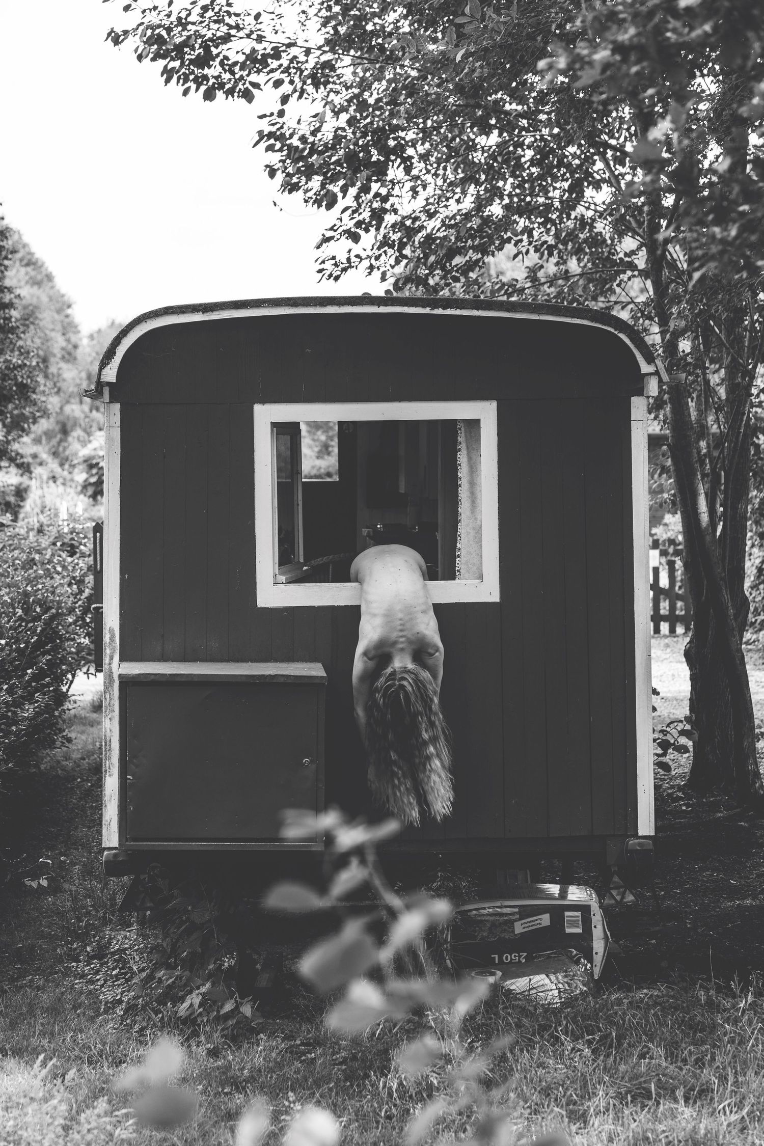Black and white photo of dog climbing through window of vintage red wooden trailer outdoors.