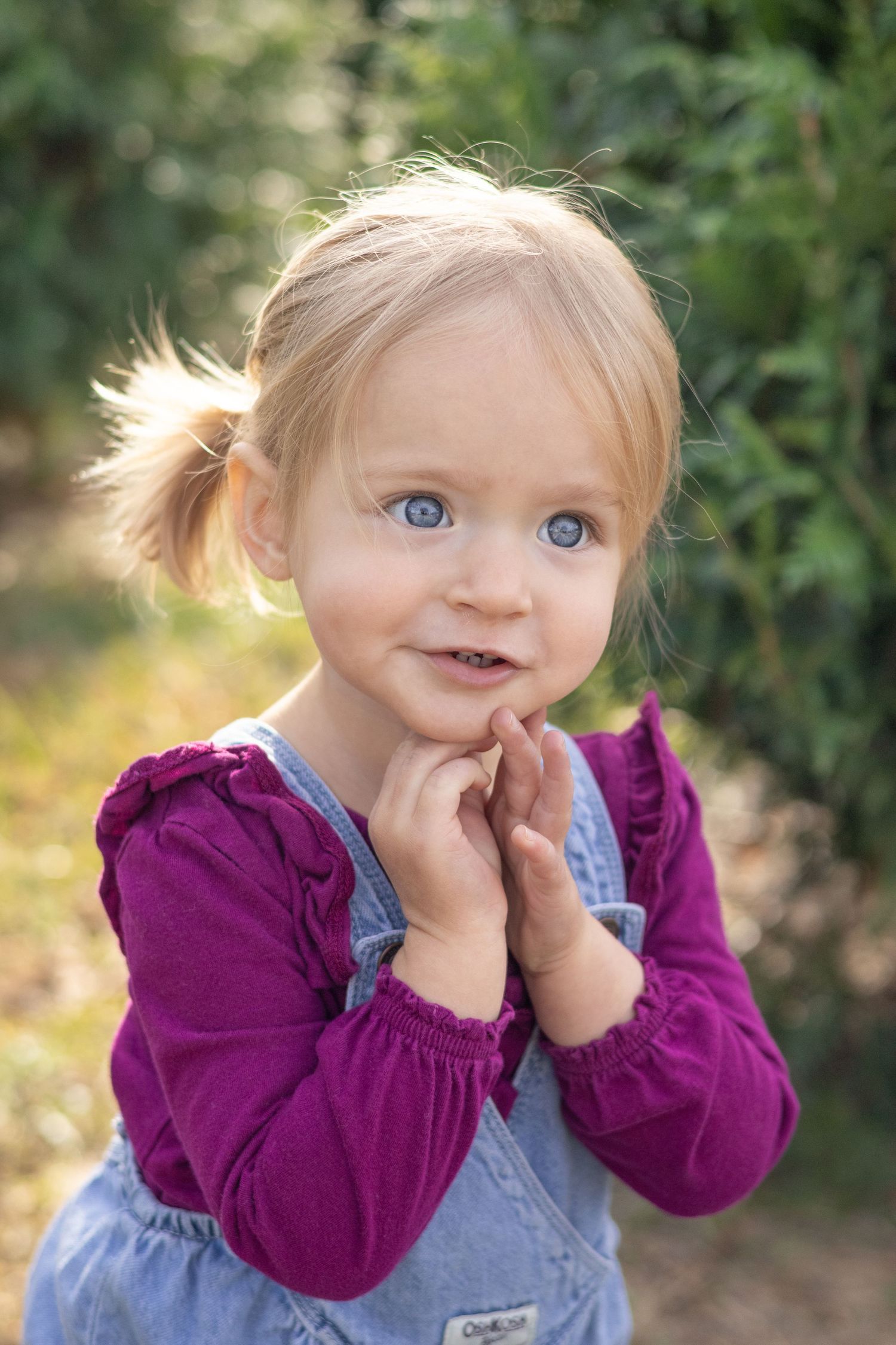 Family portrait sessions at Christmas tree farm in North Carolina