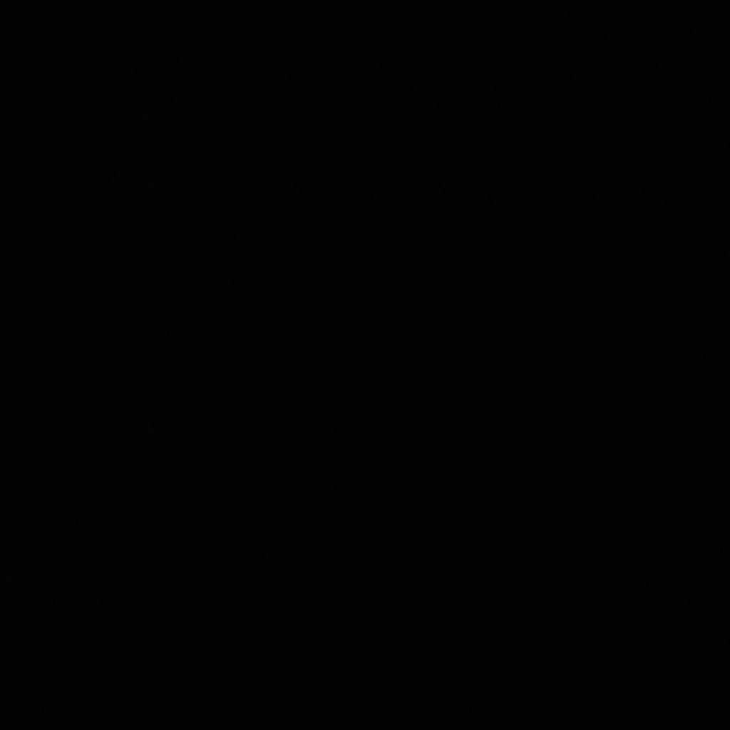 A dark, nearly black abstract image with subtle textures and shadowy details visible in low contrast.