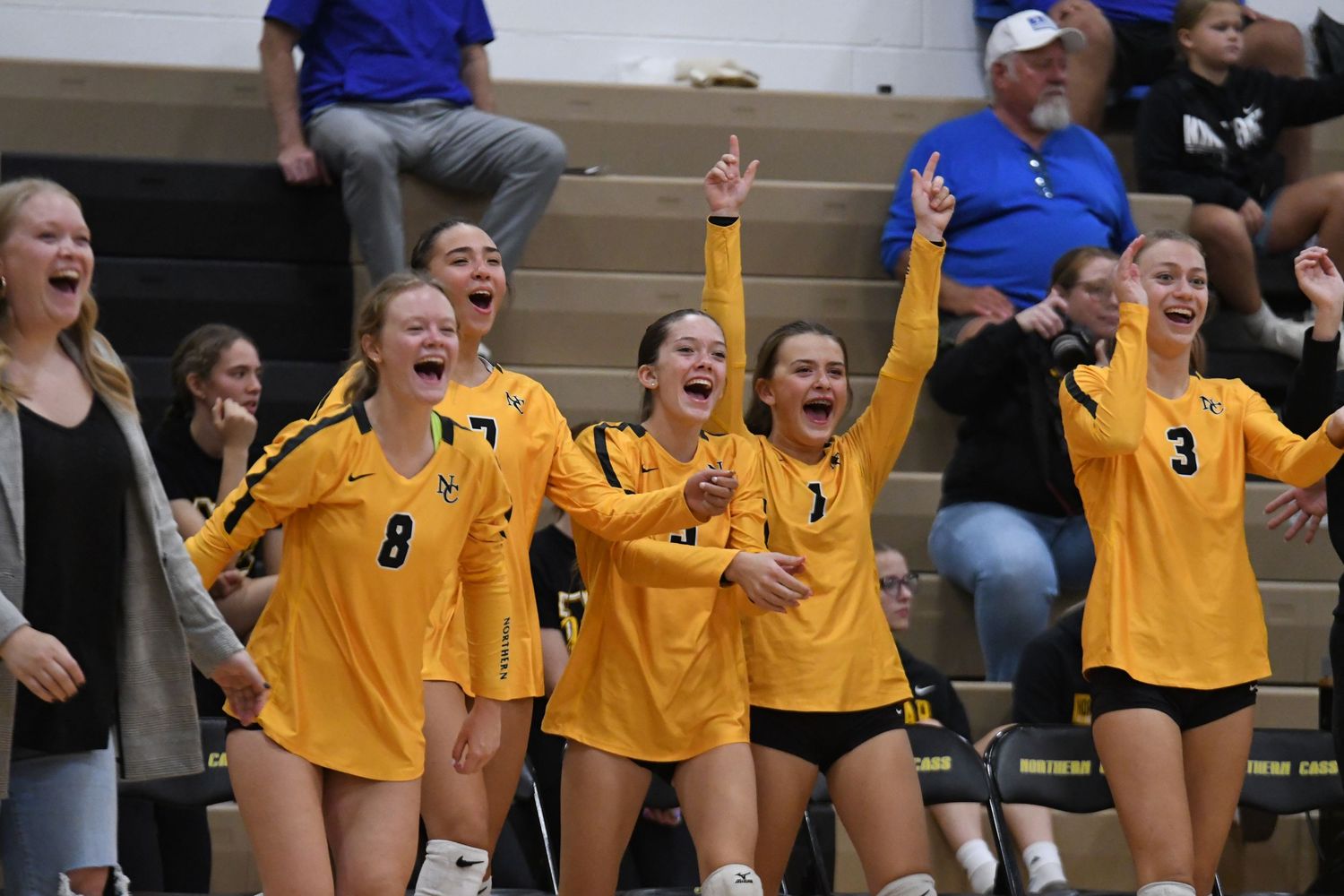 Team in yellow jerseys celebrates excitedly on the bench during volleyball match.