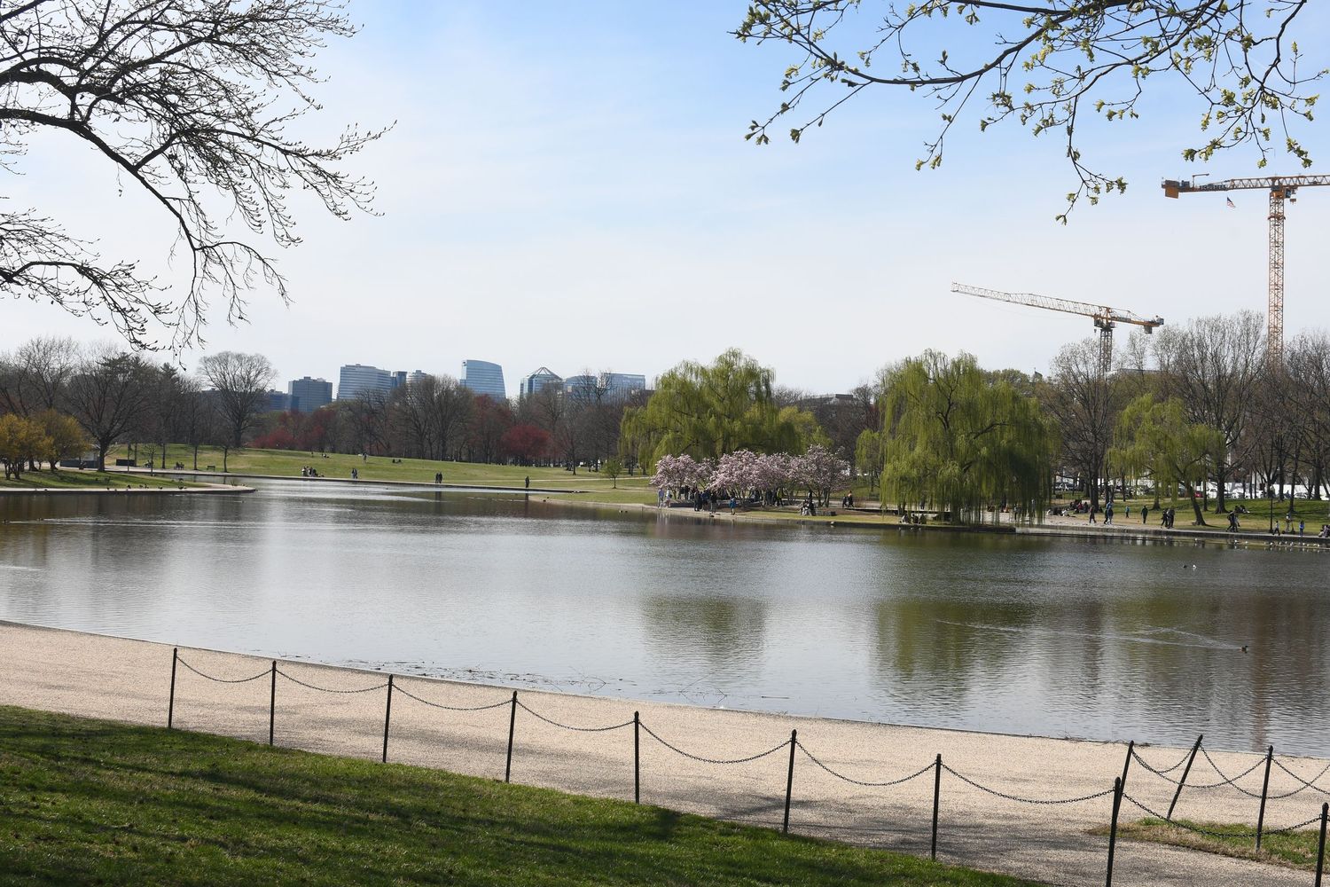 A serene lake view with trees, grass, and a construction crane visible in the distance.
