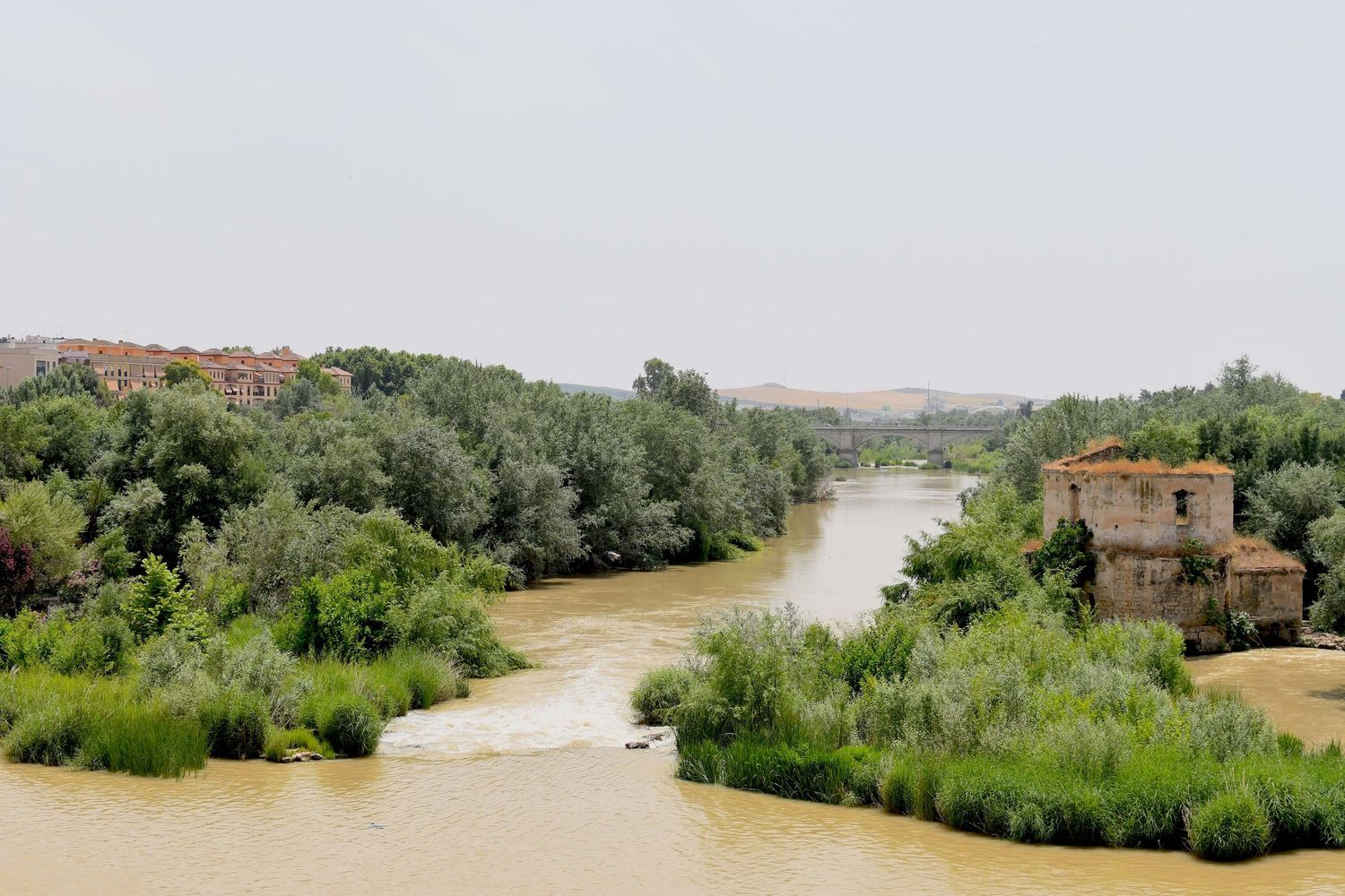Serene river landscape with lush greenery and an old stone building along the riverbank.