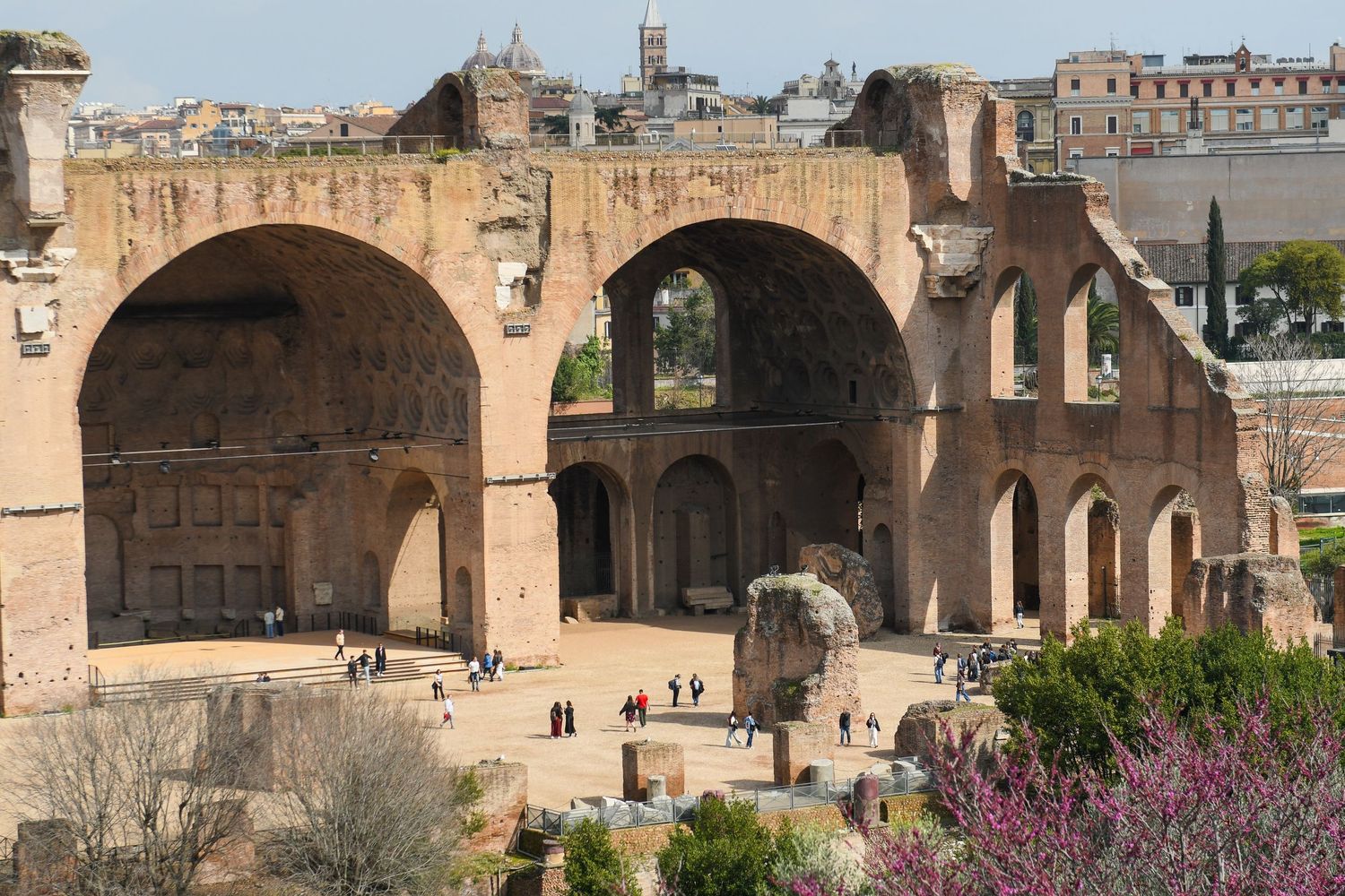 Ancient Roman Forum ruins with stone arches and flowering plants in the foreground.