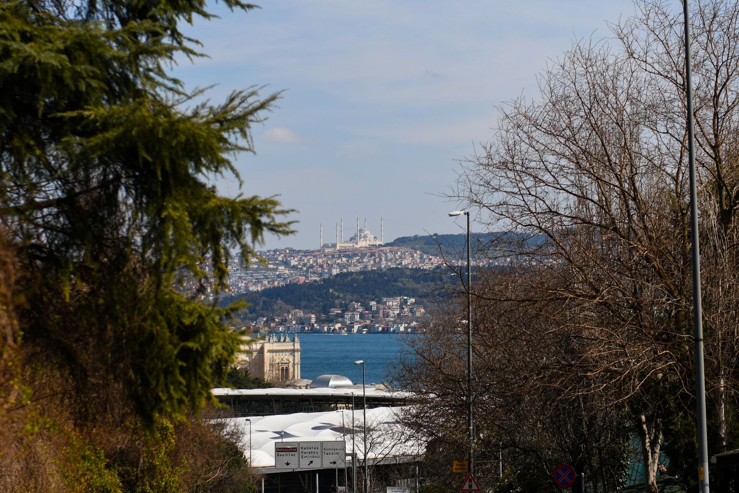 Panoramic view of a mountainous coastline with evergreen trees in the foreground.