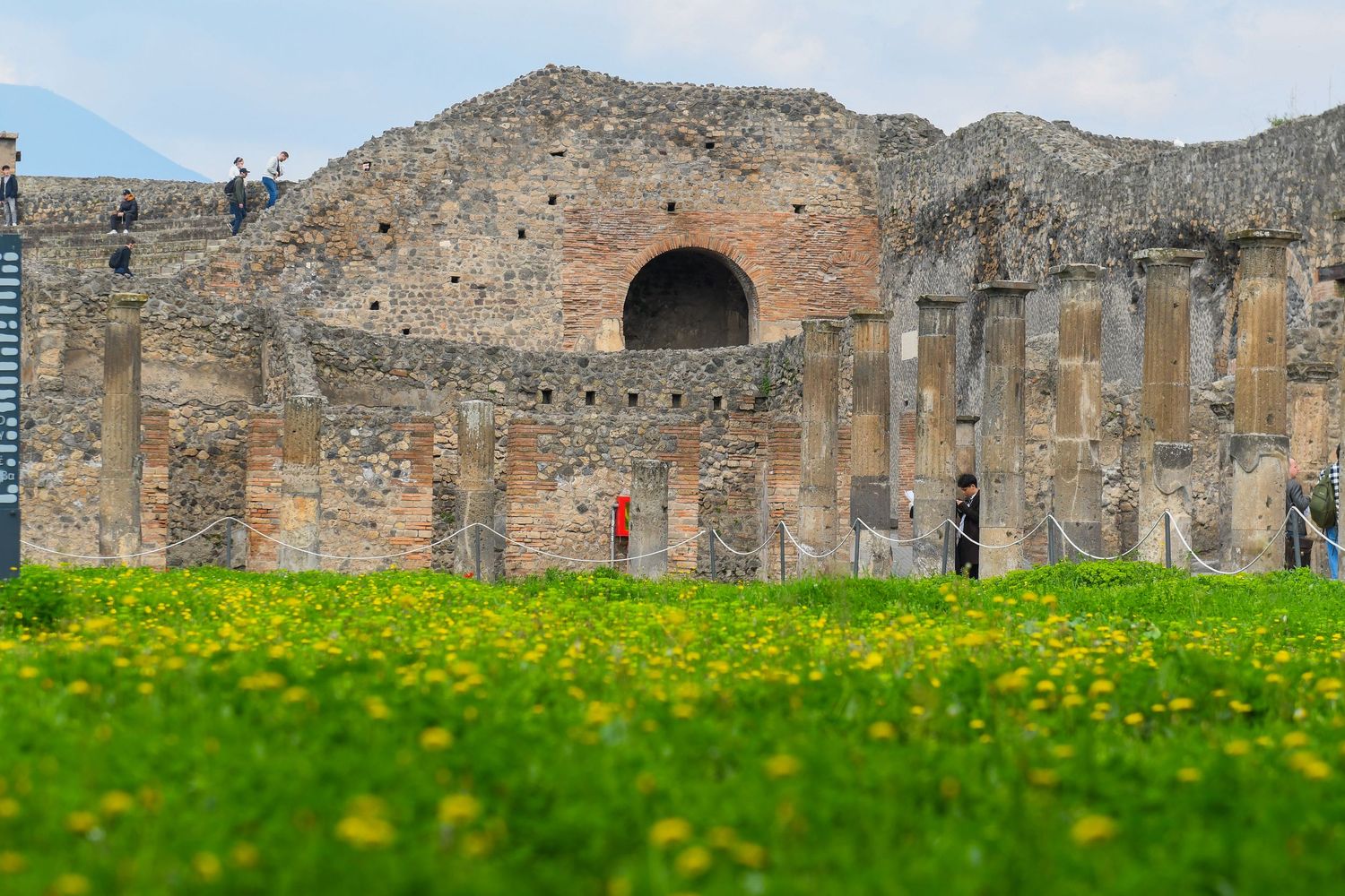 Panoramic view of Pompeii ruins with yellow wildflowers in foreground against mountain backdrop.