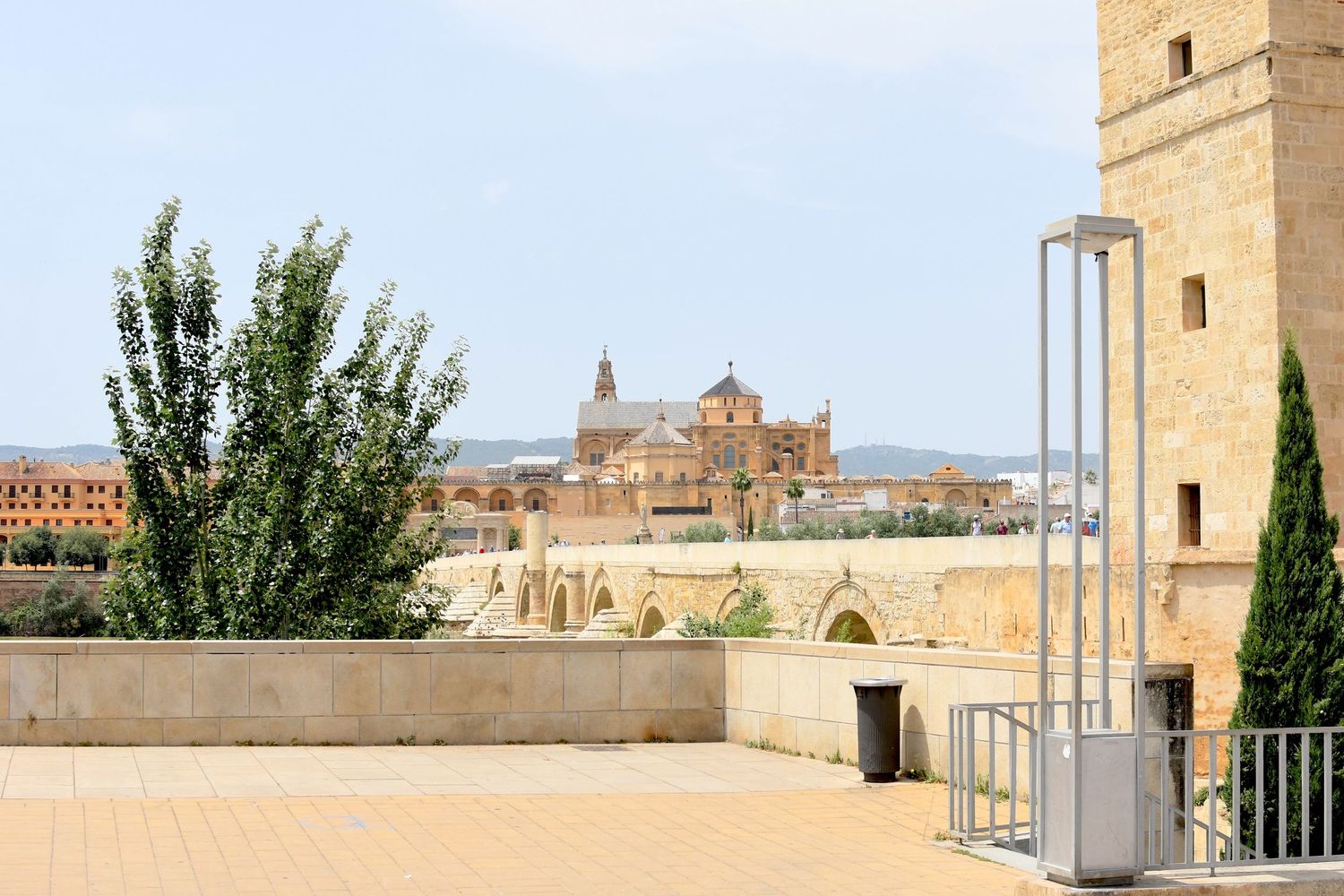 Historic Spanish cathedral and cityscape viewed from a terrace with trees in the foreground.