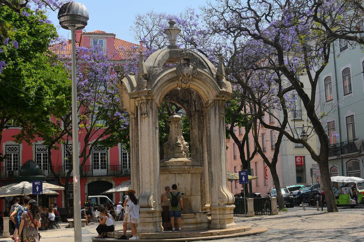 Historic stone fountain in a Lisbon square surrounded by purple flowering trees.