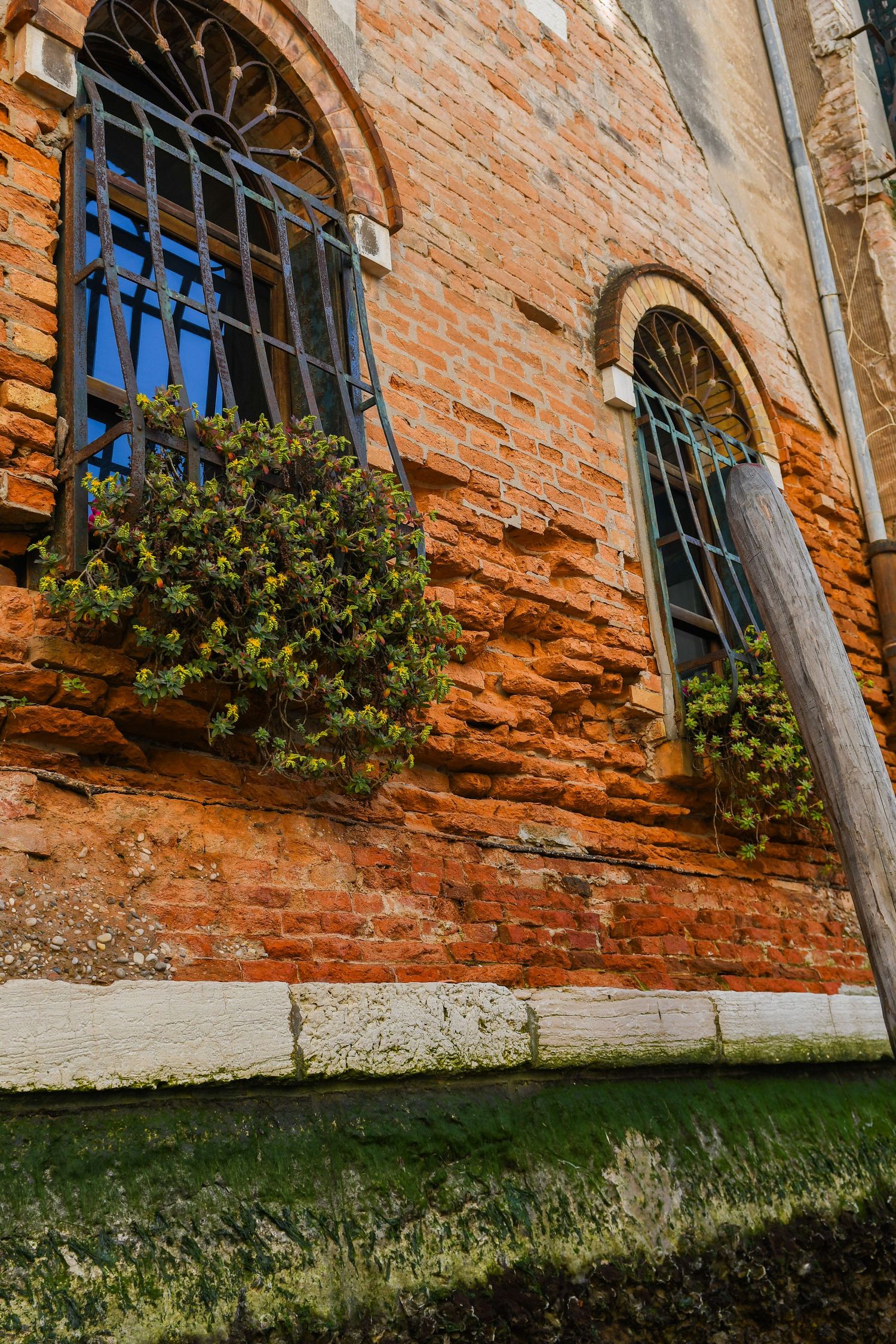 Ancient brick wall with ornate window frames adorned with hanging flower baskets in sunlight.
