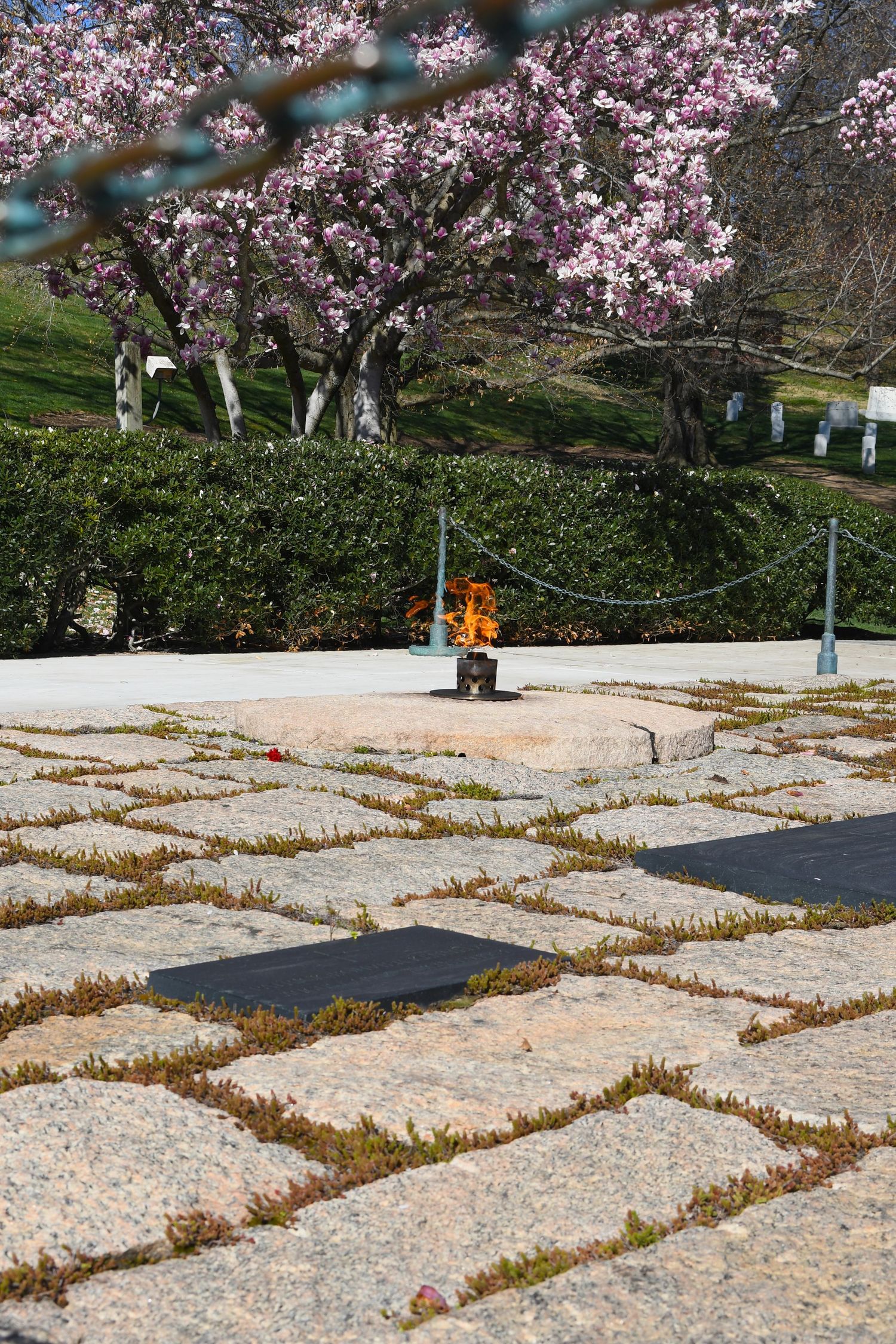 Aerial view of stone memorial markers with cherry blossoms visible in the background.