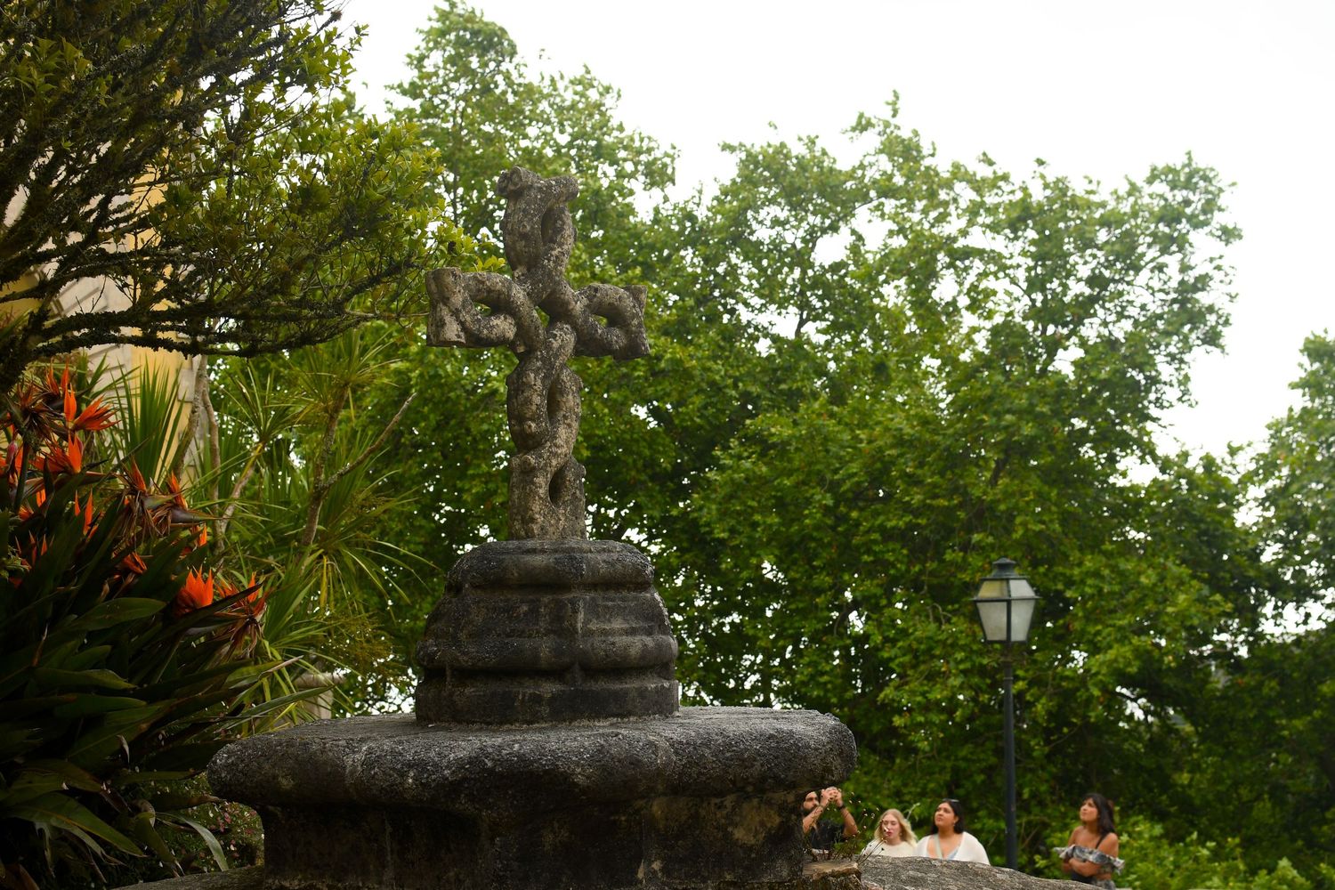 Ancient stone statues surrounded by lush green trees and foliage in a tropical setting.