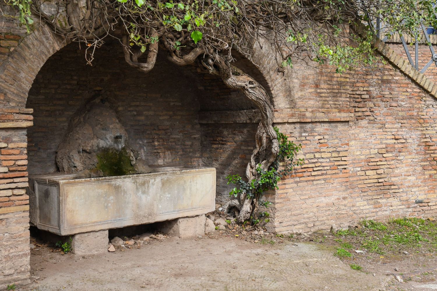 Ancient stone fountain niche with ivy growing on brick walls in Rome.