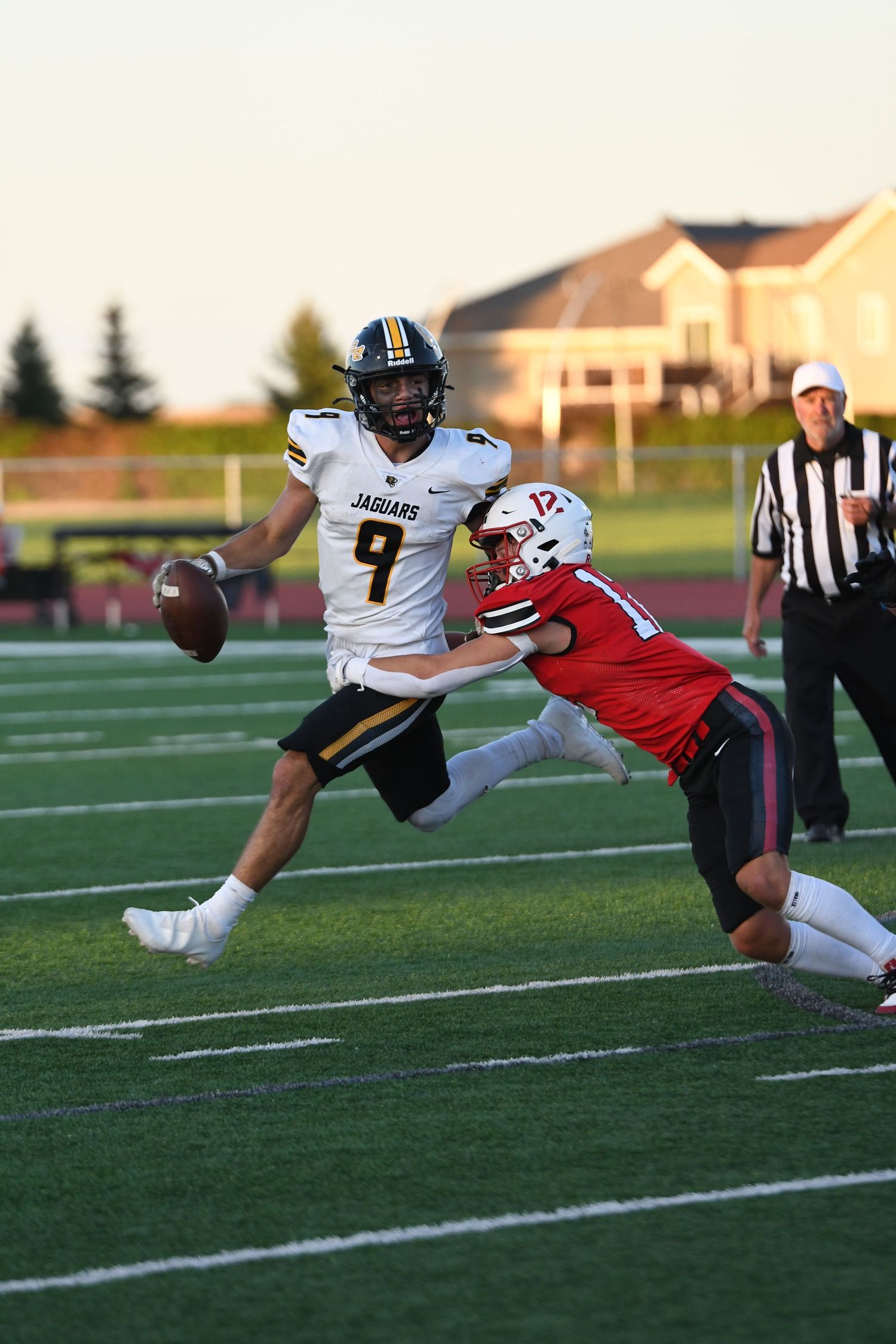 Football player makes diving catch while defender attempts tackle on field.