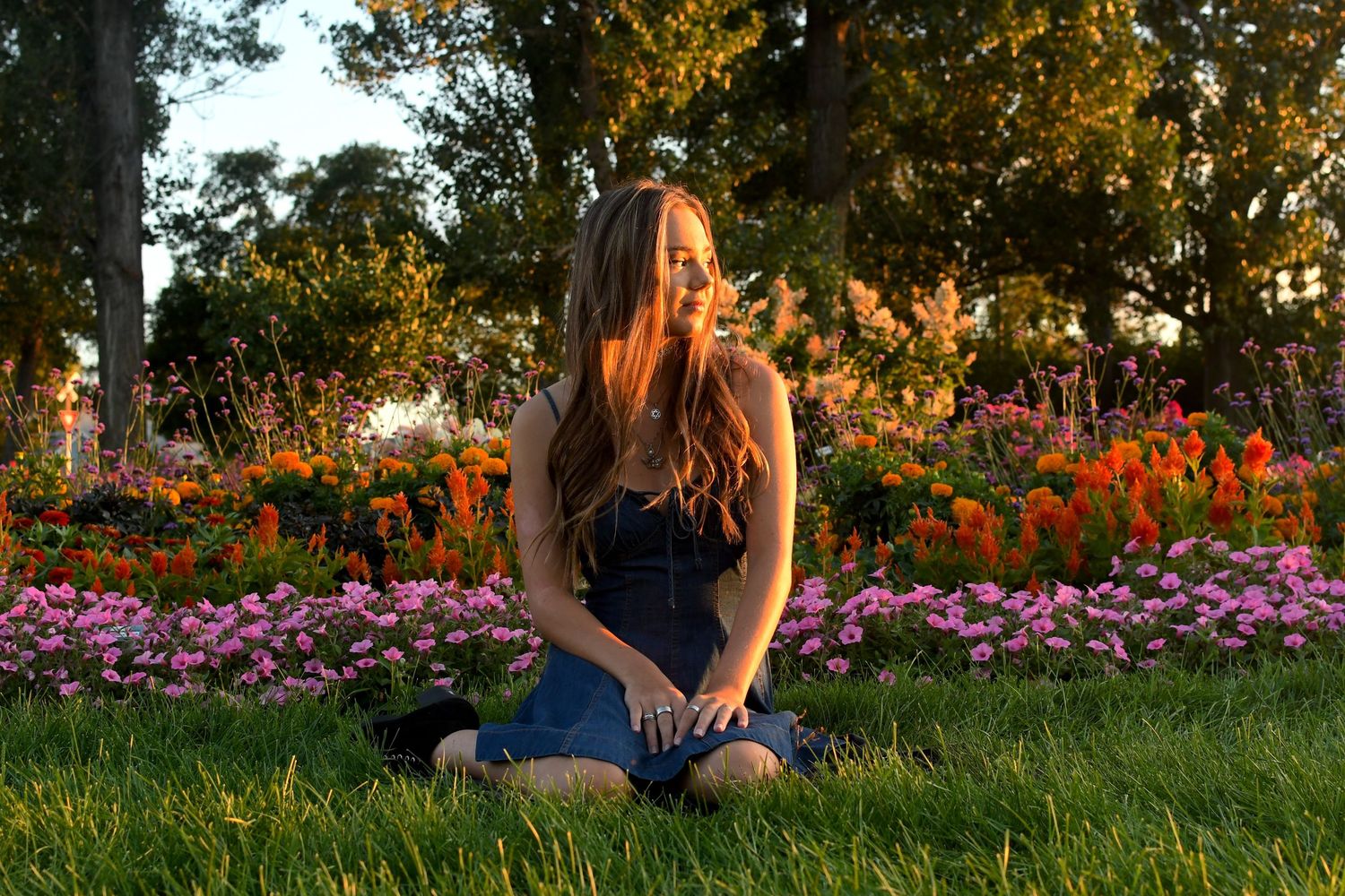 A person sits in a garden with vibrant red and purple flowers blooming along a path at sunset.