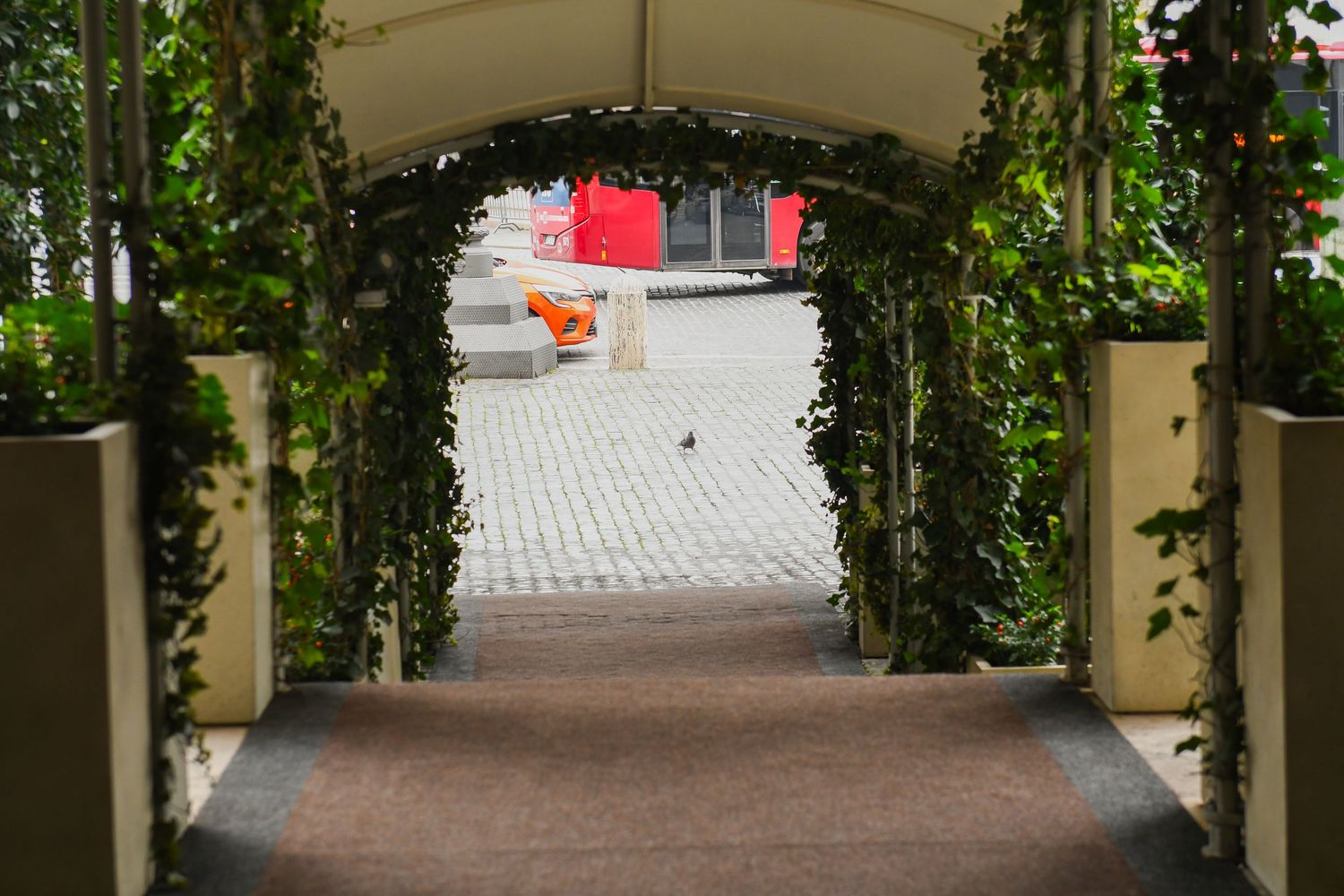 Covered walkway with climbing vines and pillars leading to a paved courtyard.