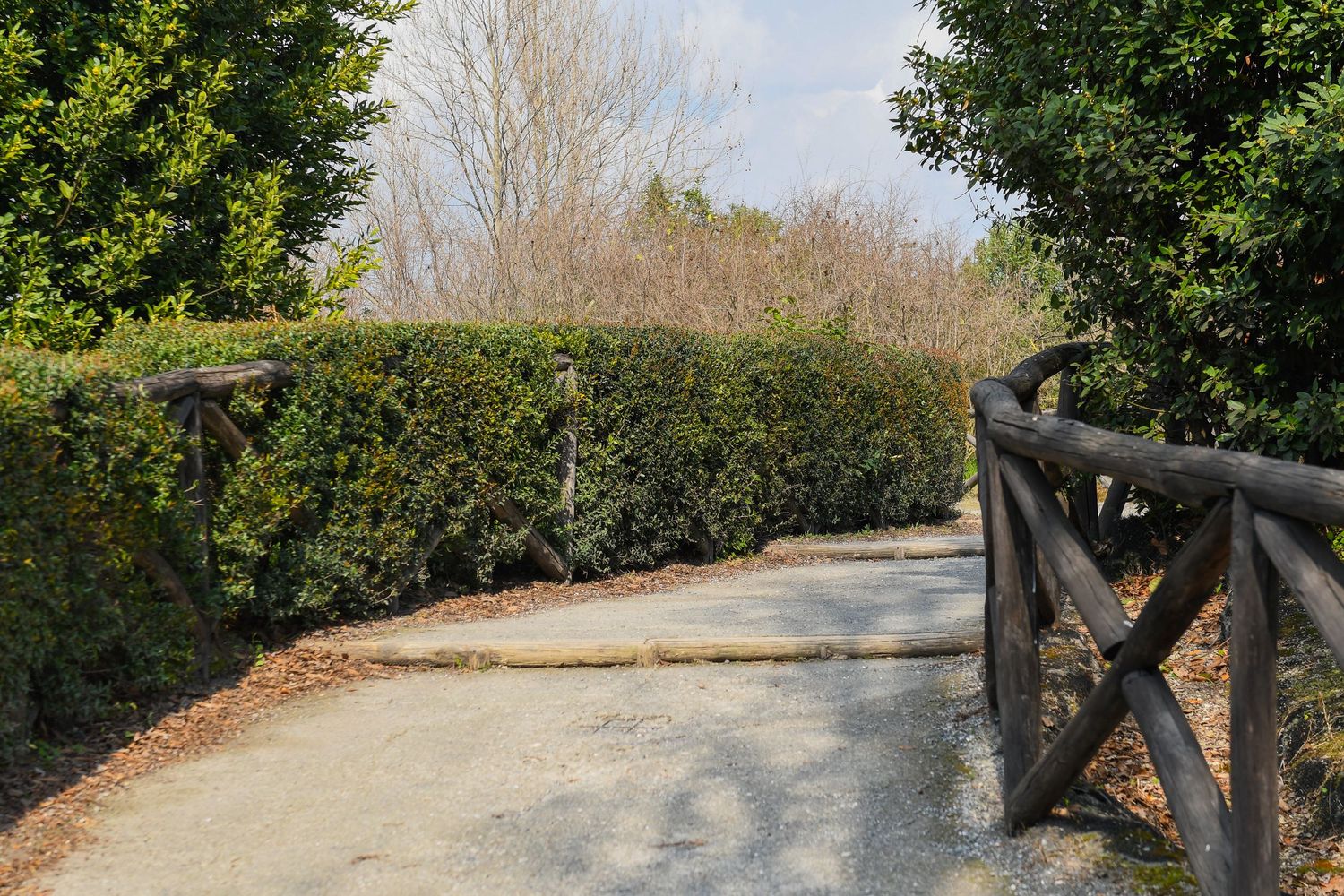 Curved garden pathway with trees and wooden railings on a sunny day.